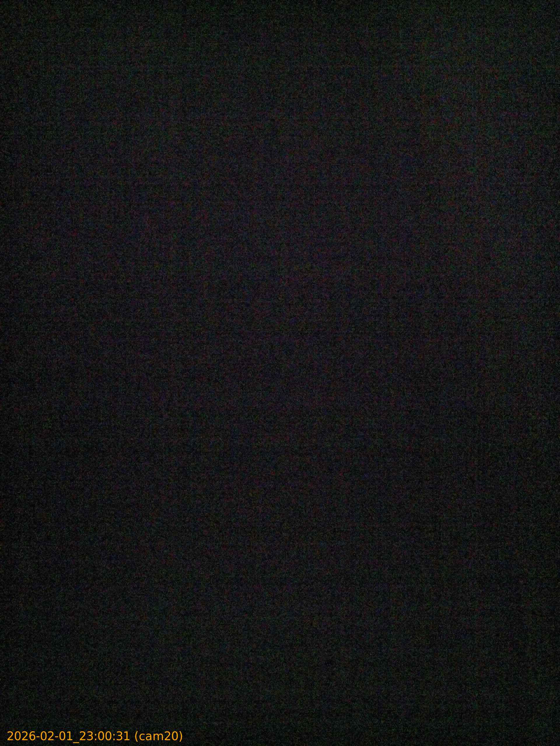 thumbnail_20260201230031