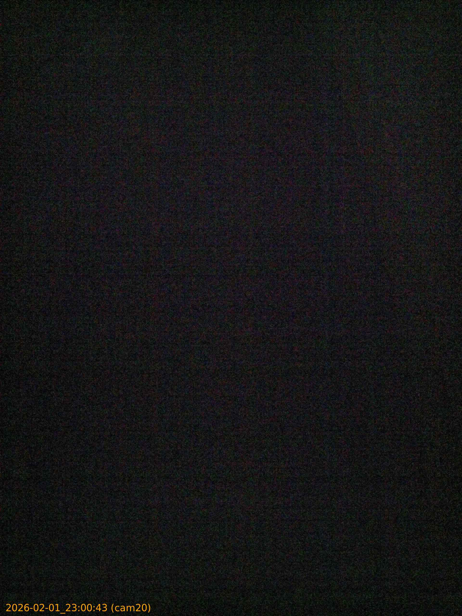 thumbnail_20260201230043