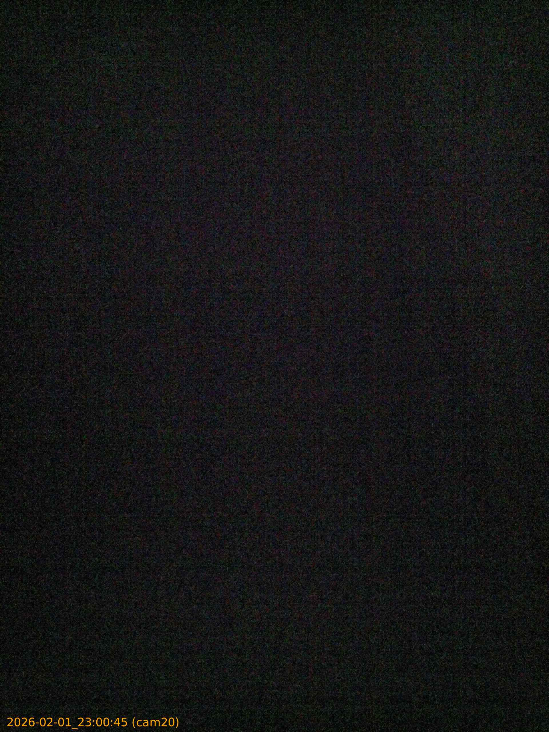 thumbnail_20260201230045