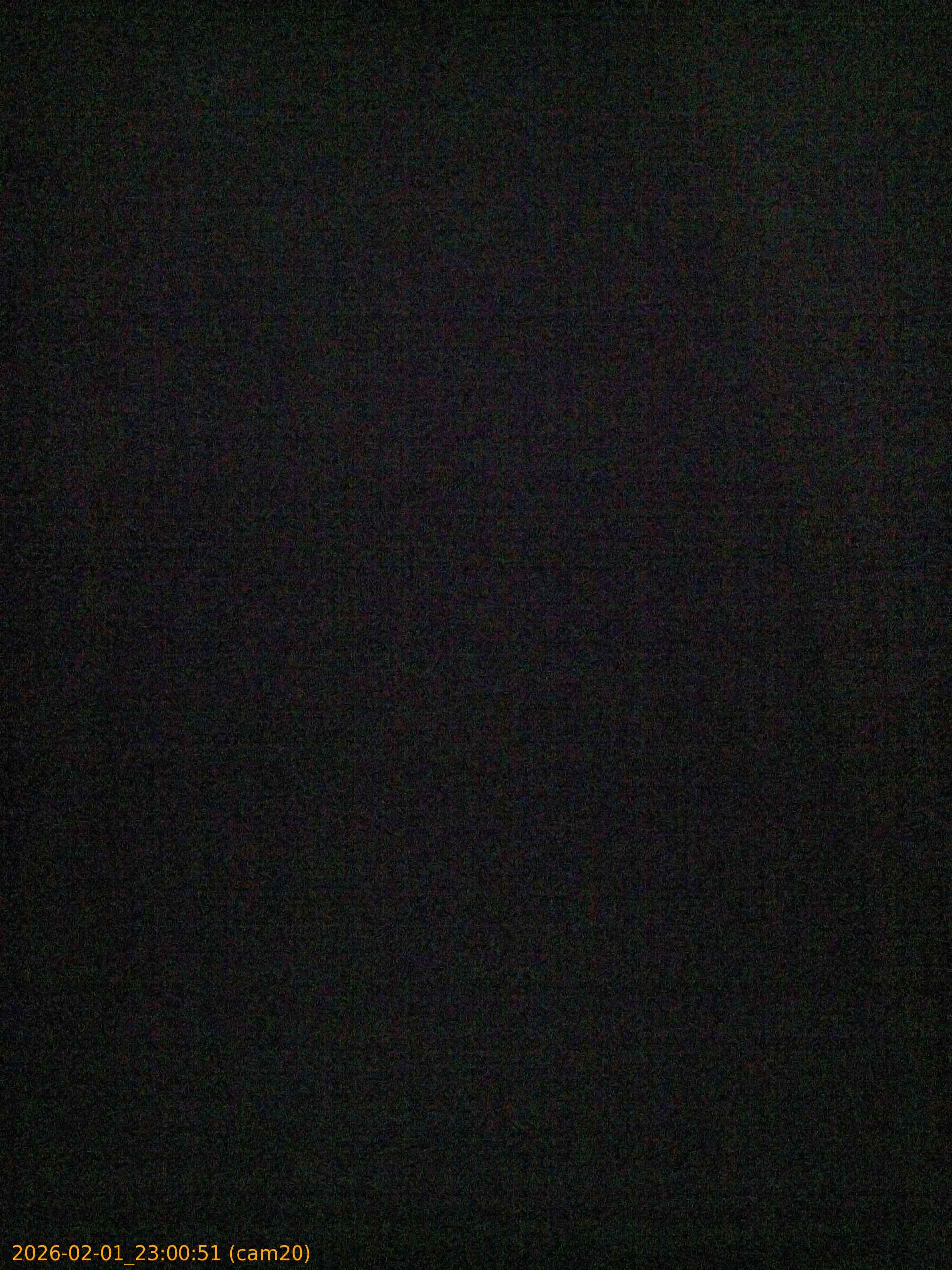 thumbnail_20260201230051