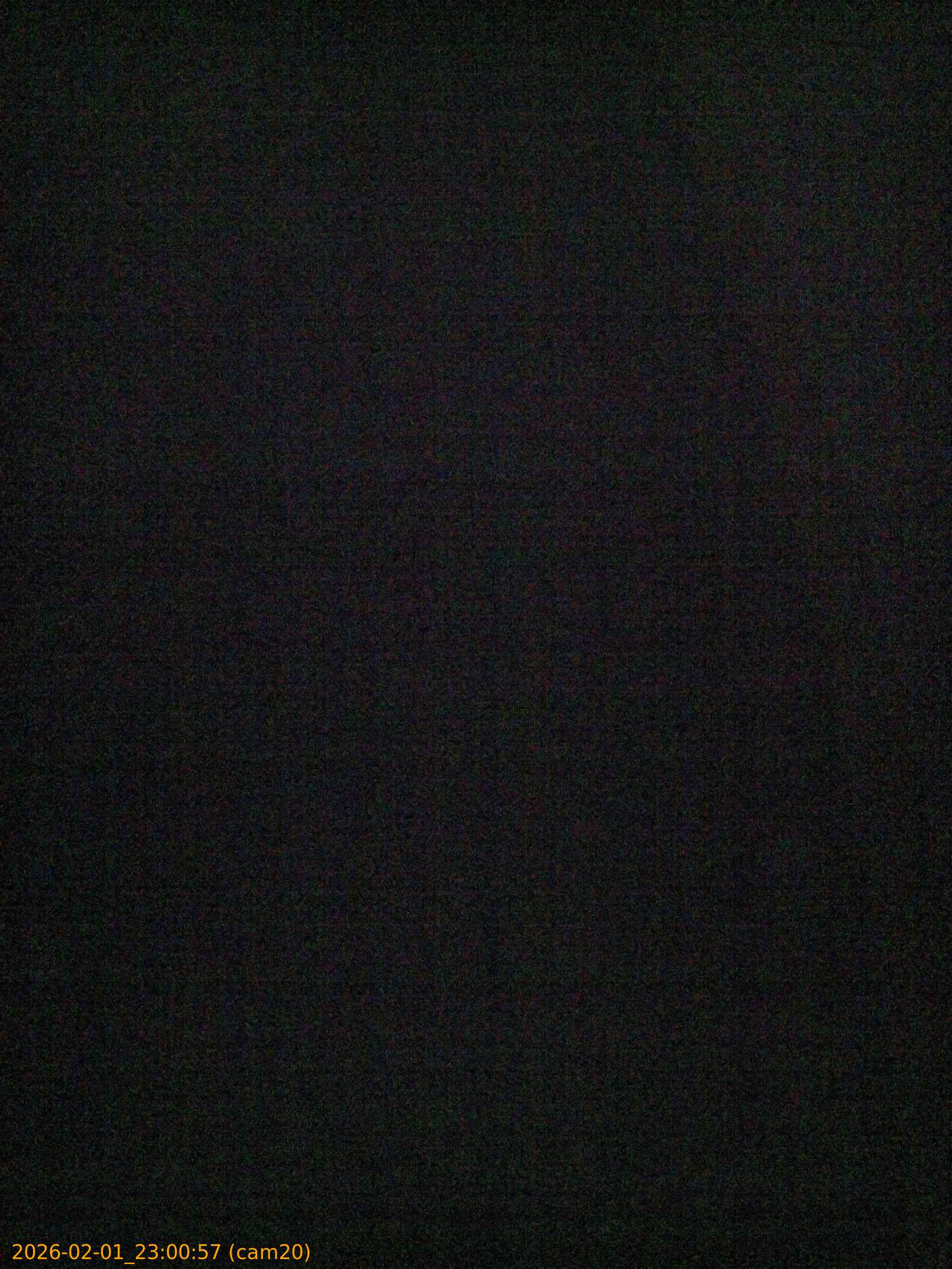 thumbnail_20260201230057