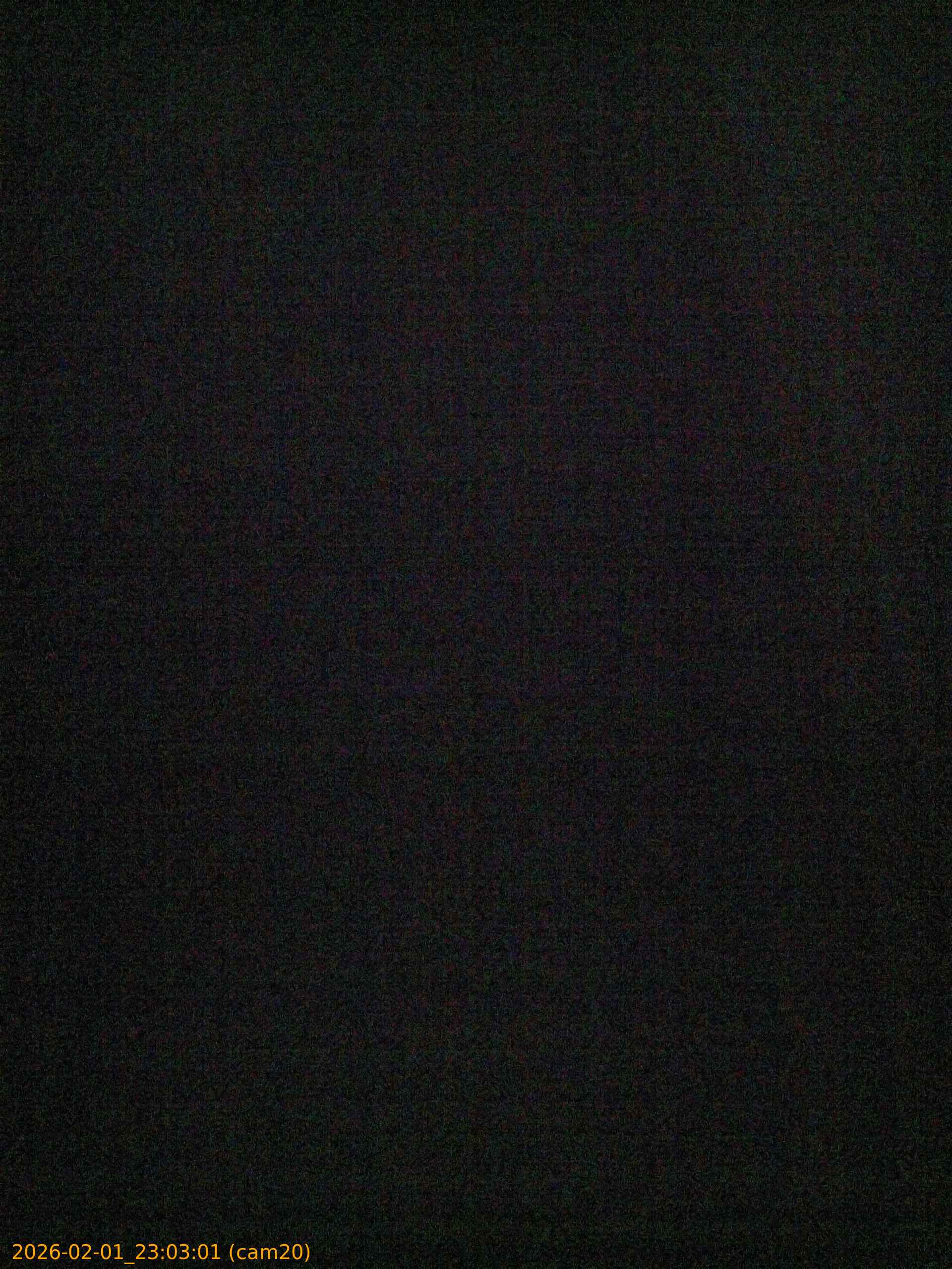 thumbnail_20260201230301