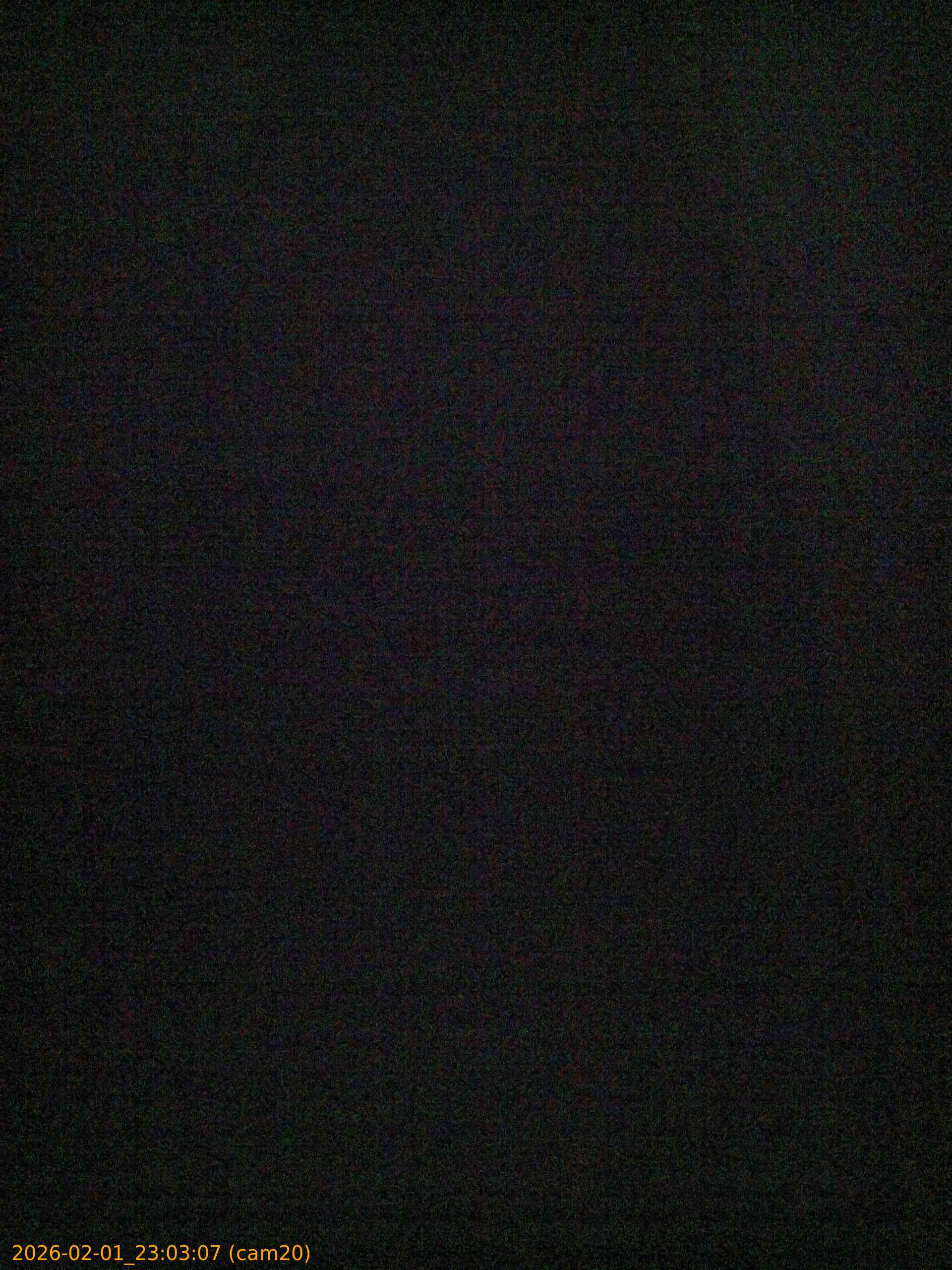 thumbnail_20260201230307