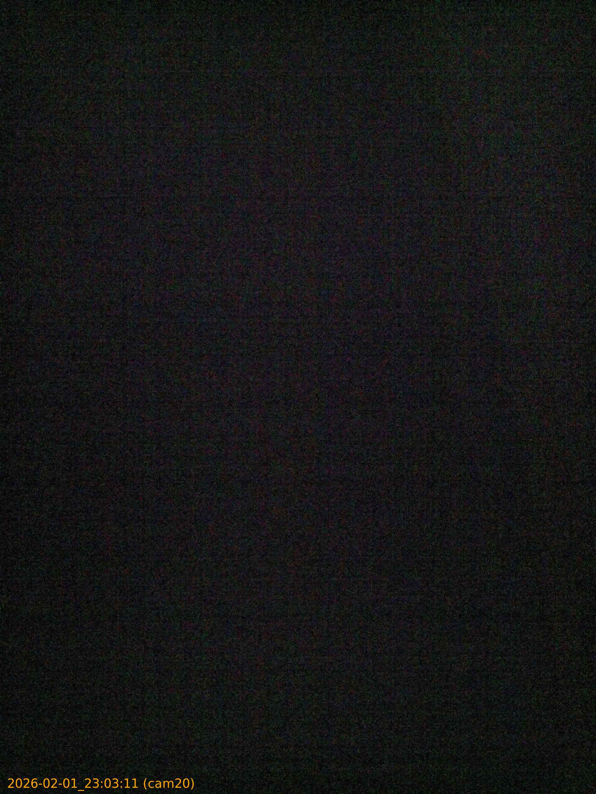 thumbnail_20260201230311