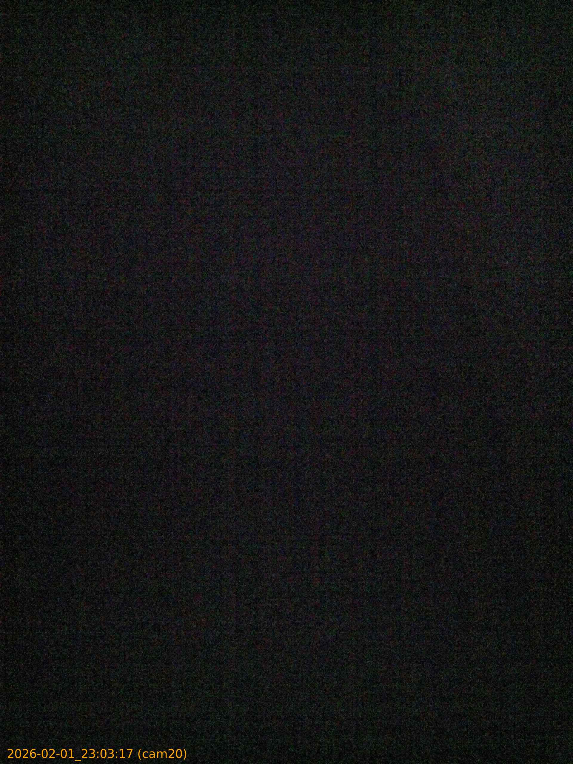 thumbnail_20260201230317