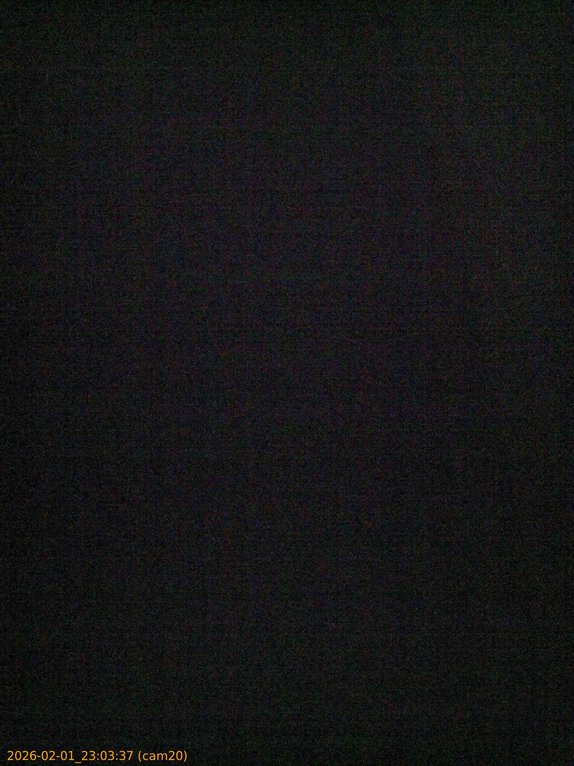 thumbnail_20260201230337