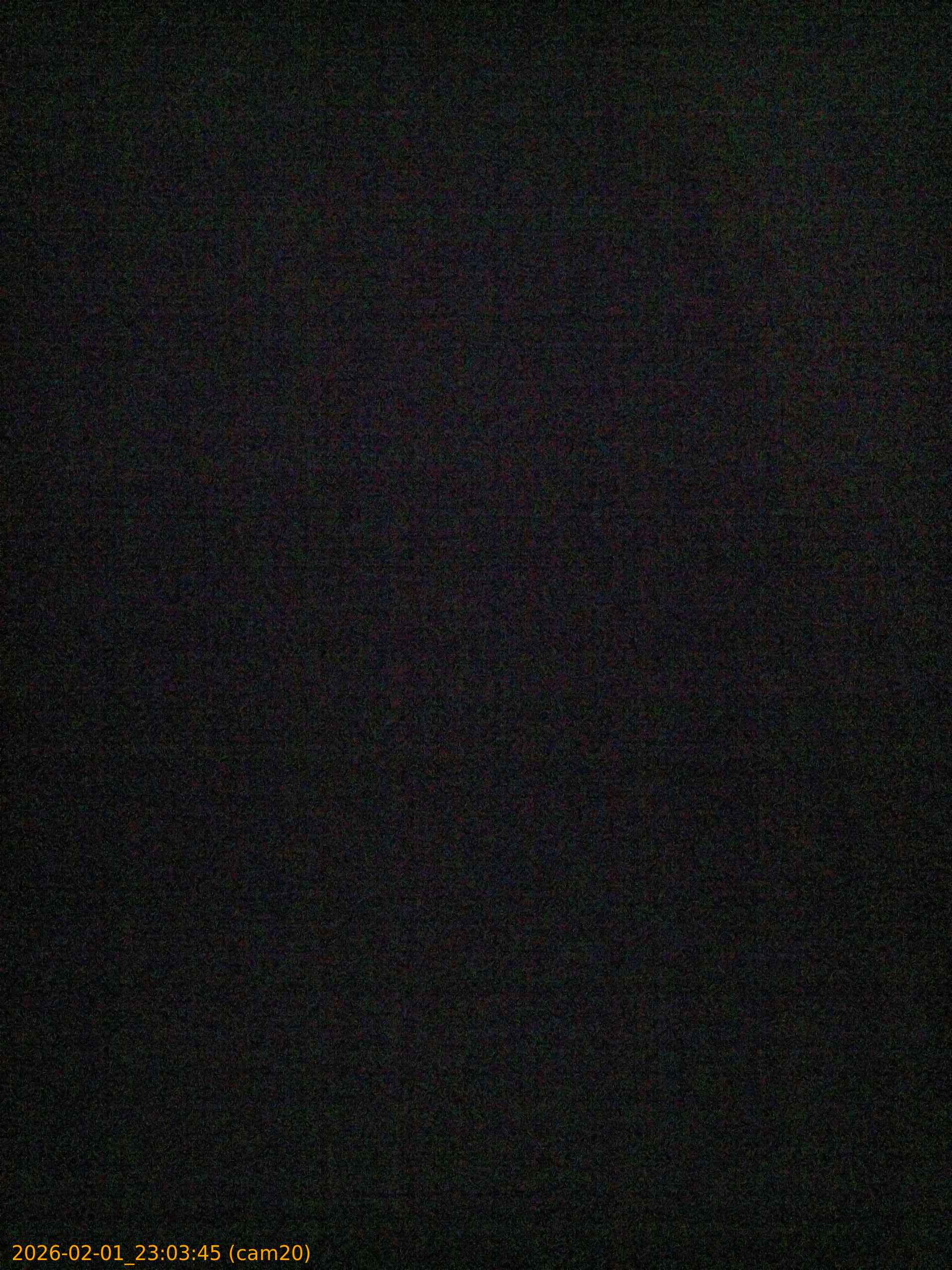 thumbnail_20260201230345