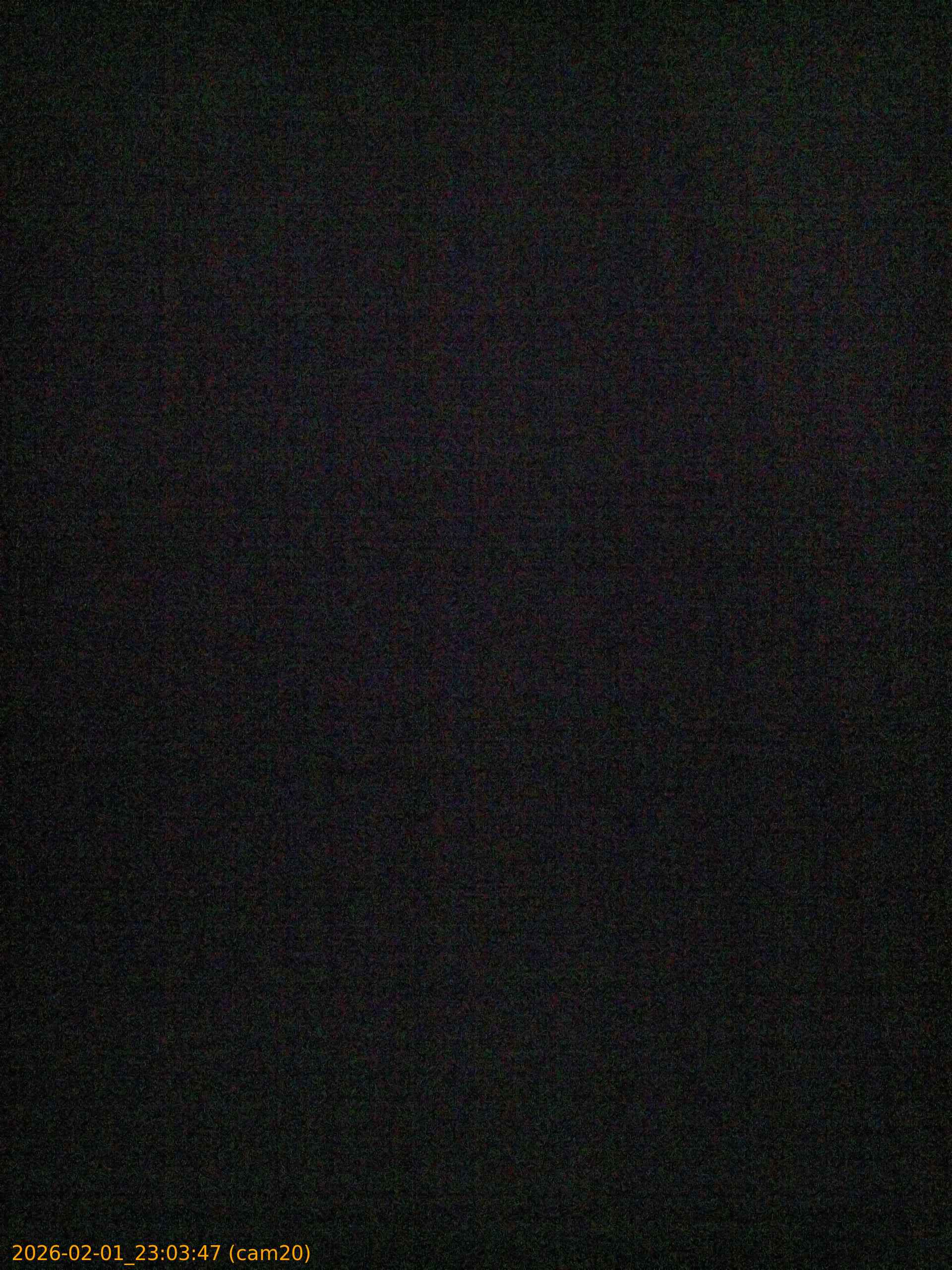 thumbnail_20260201230347