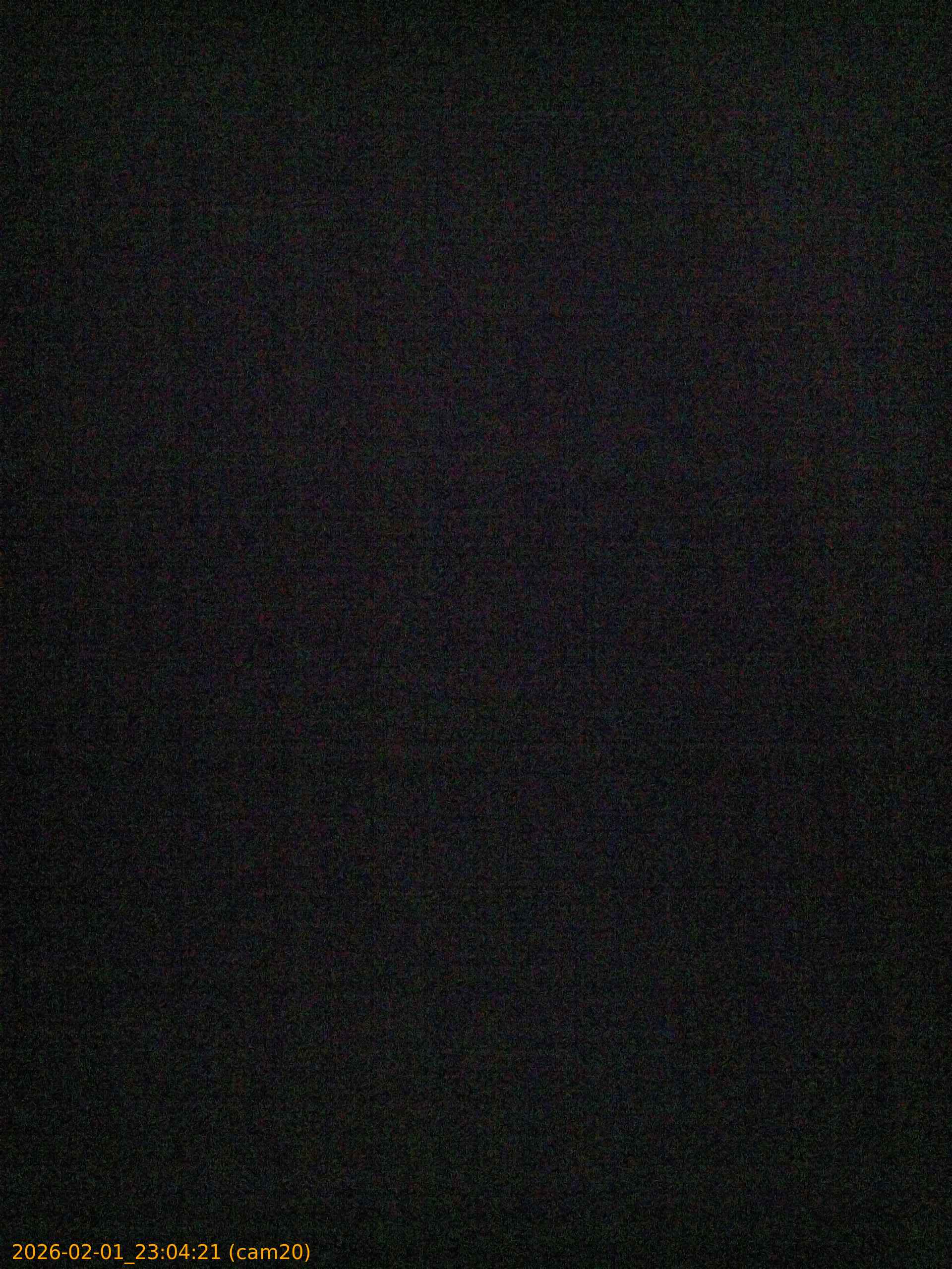 thumbnail_20260201230421