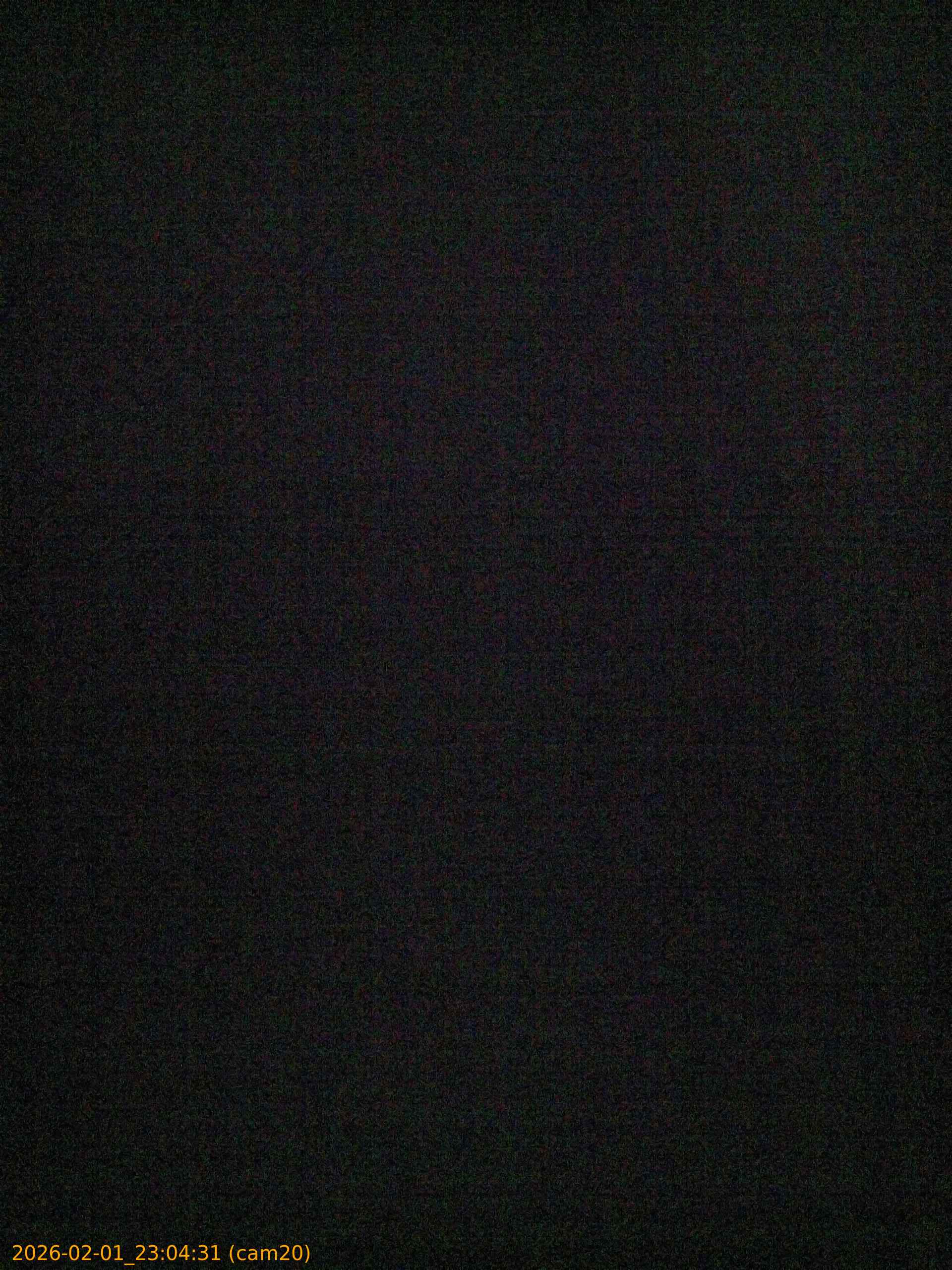 thumbnail_20260201230431