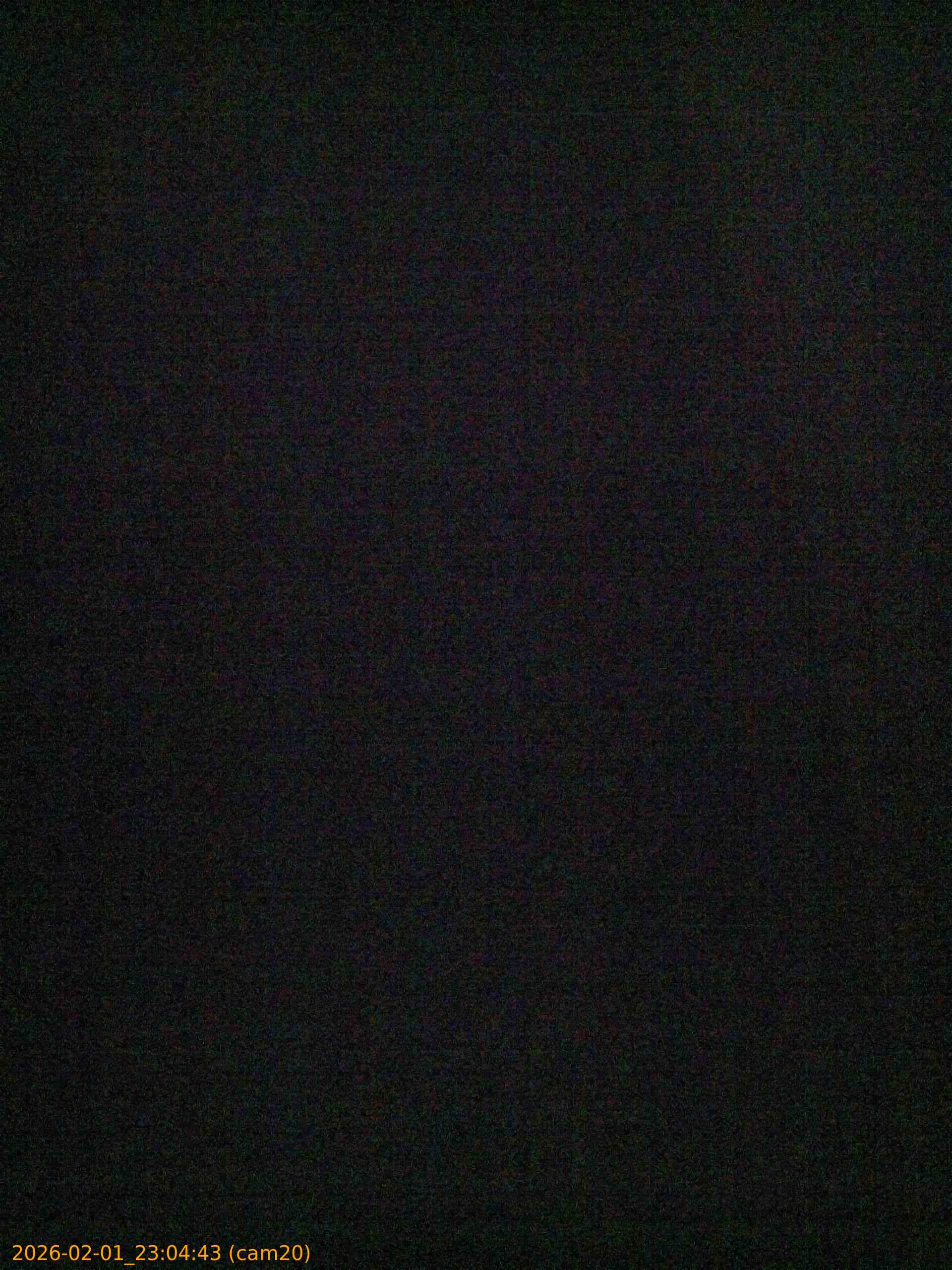 thumbnail_20260201230443