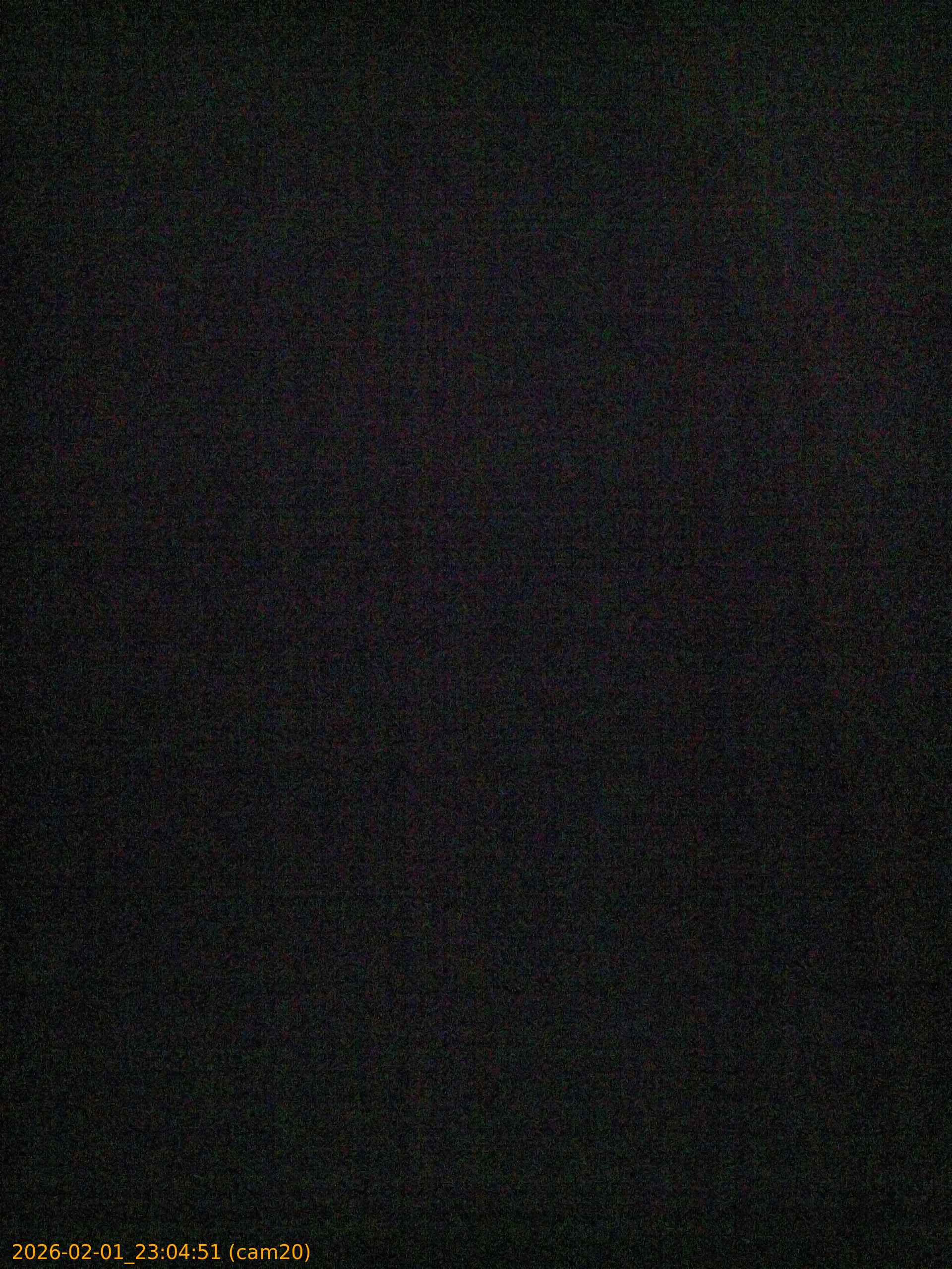 thumbnail_20260201230451