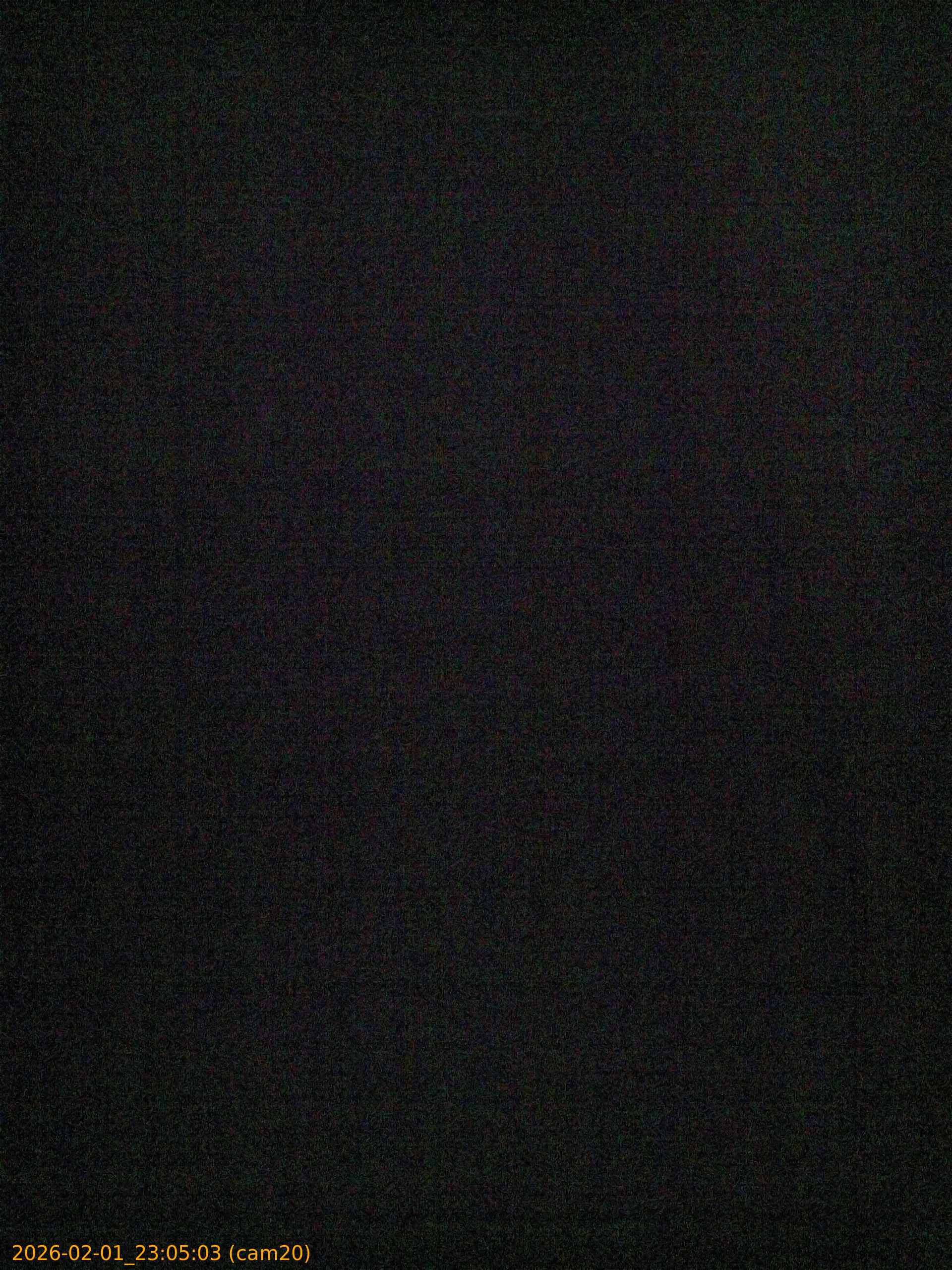 thumbnail_20260201230503