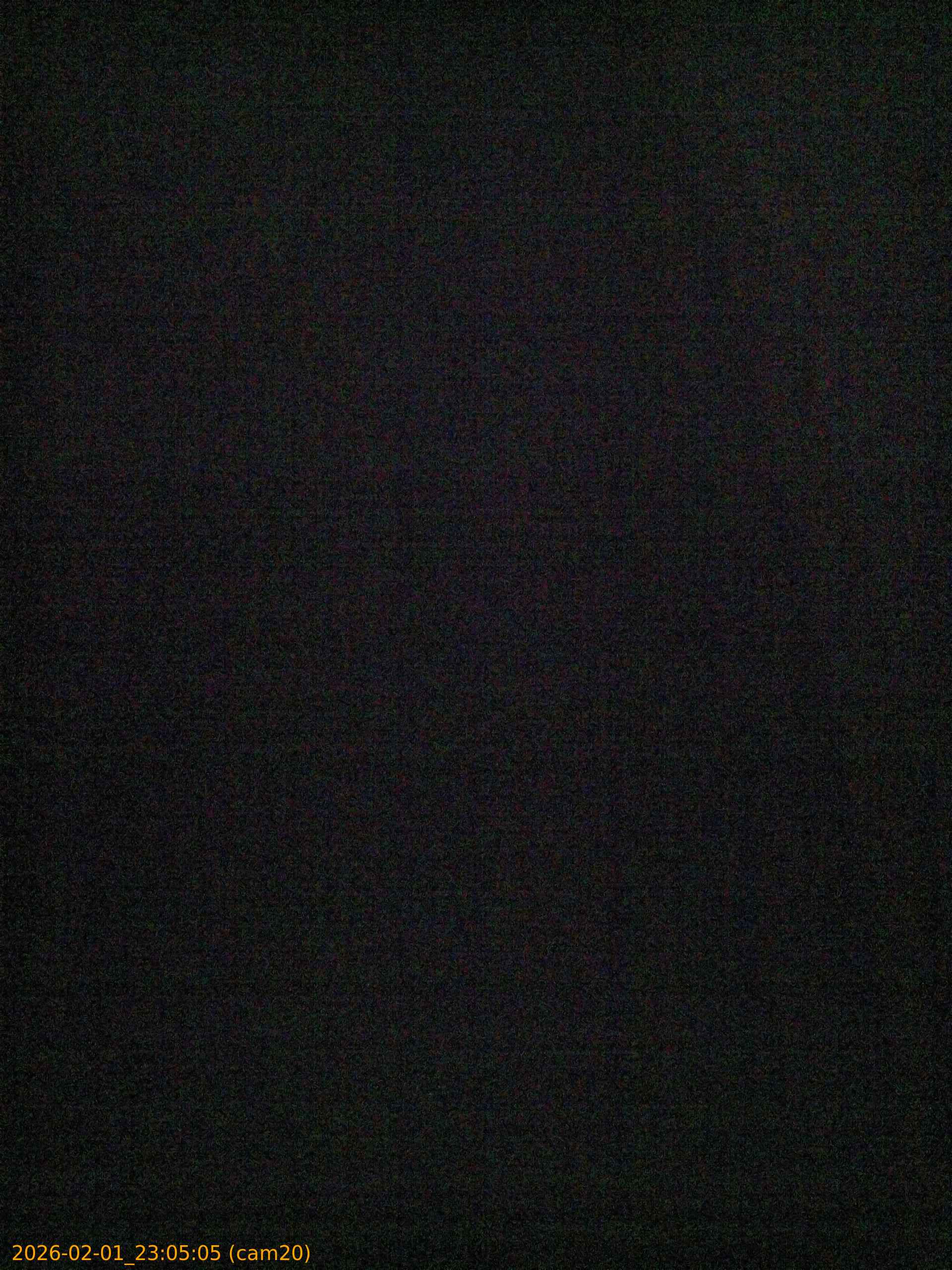 thumbnail_20260201230505