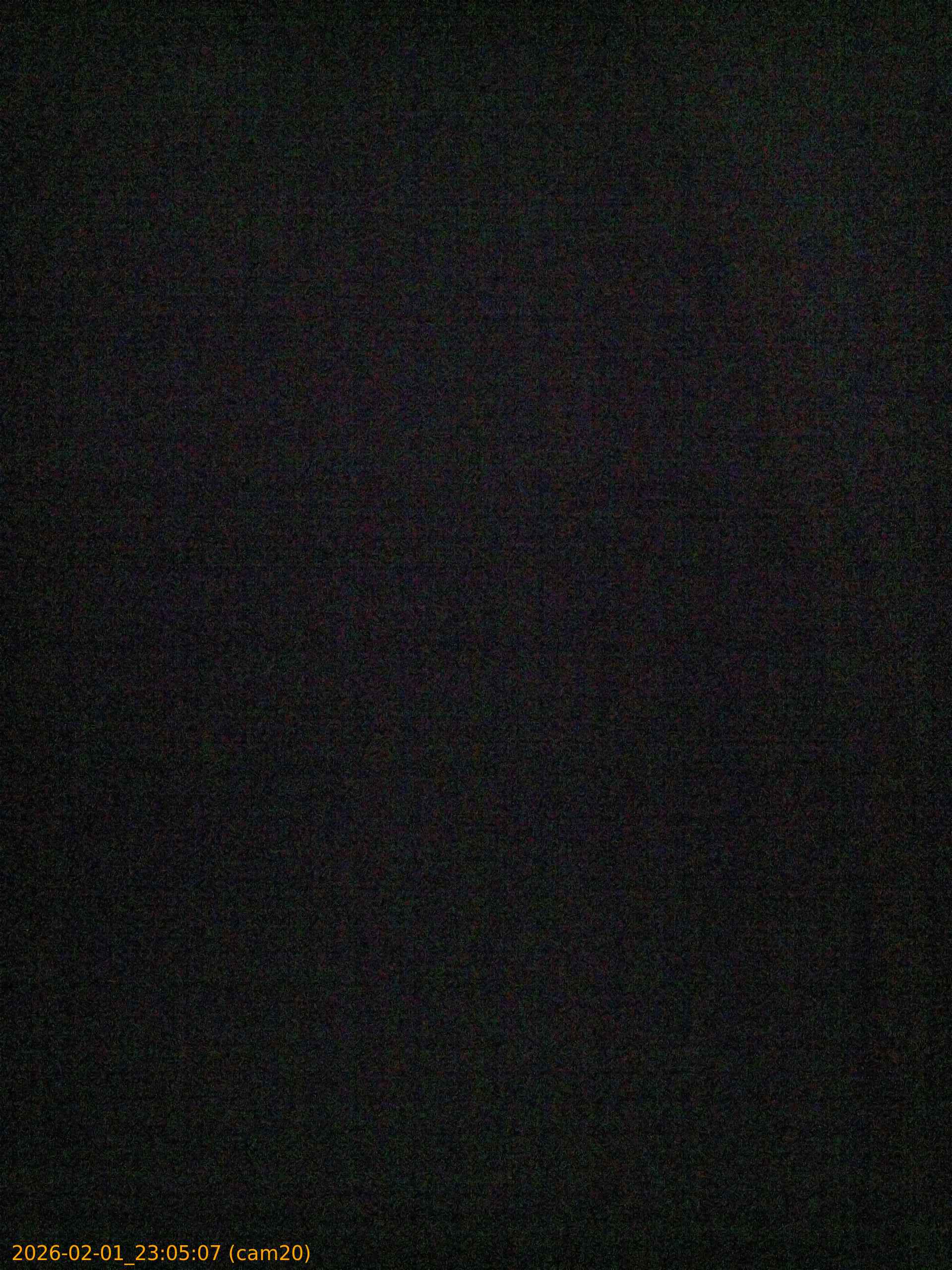 thumbnail_20260201230507