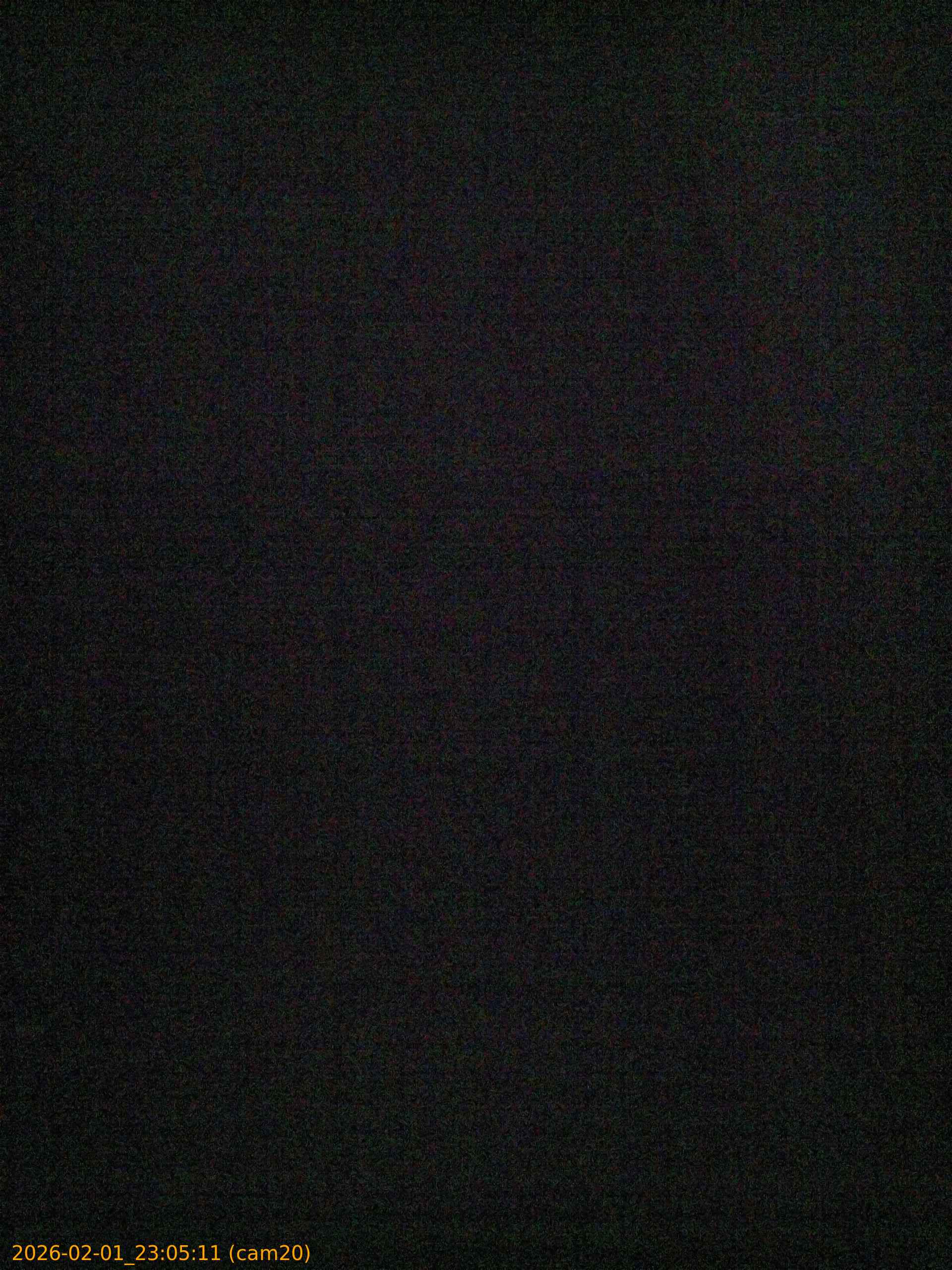 thumbnail_20260201230511