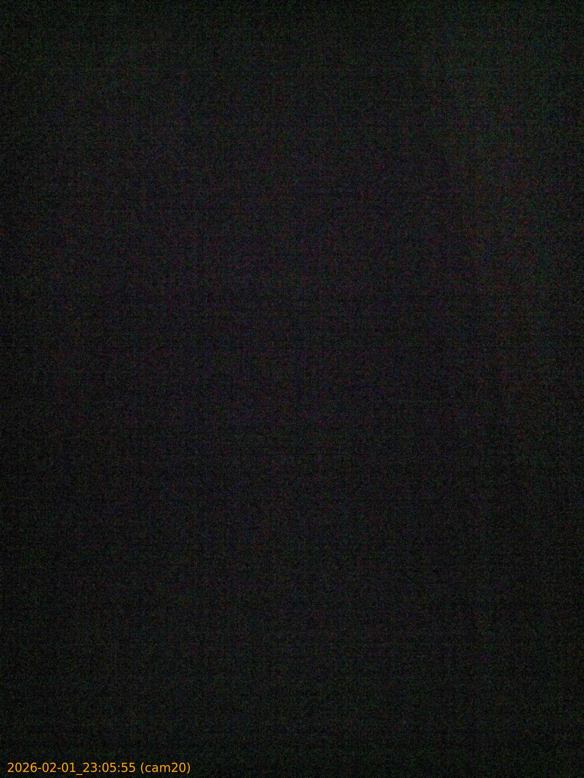 thumbnail_20260201230555