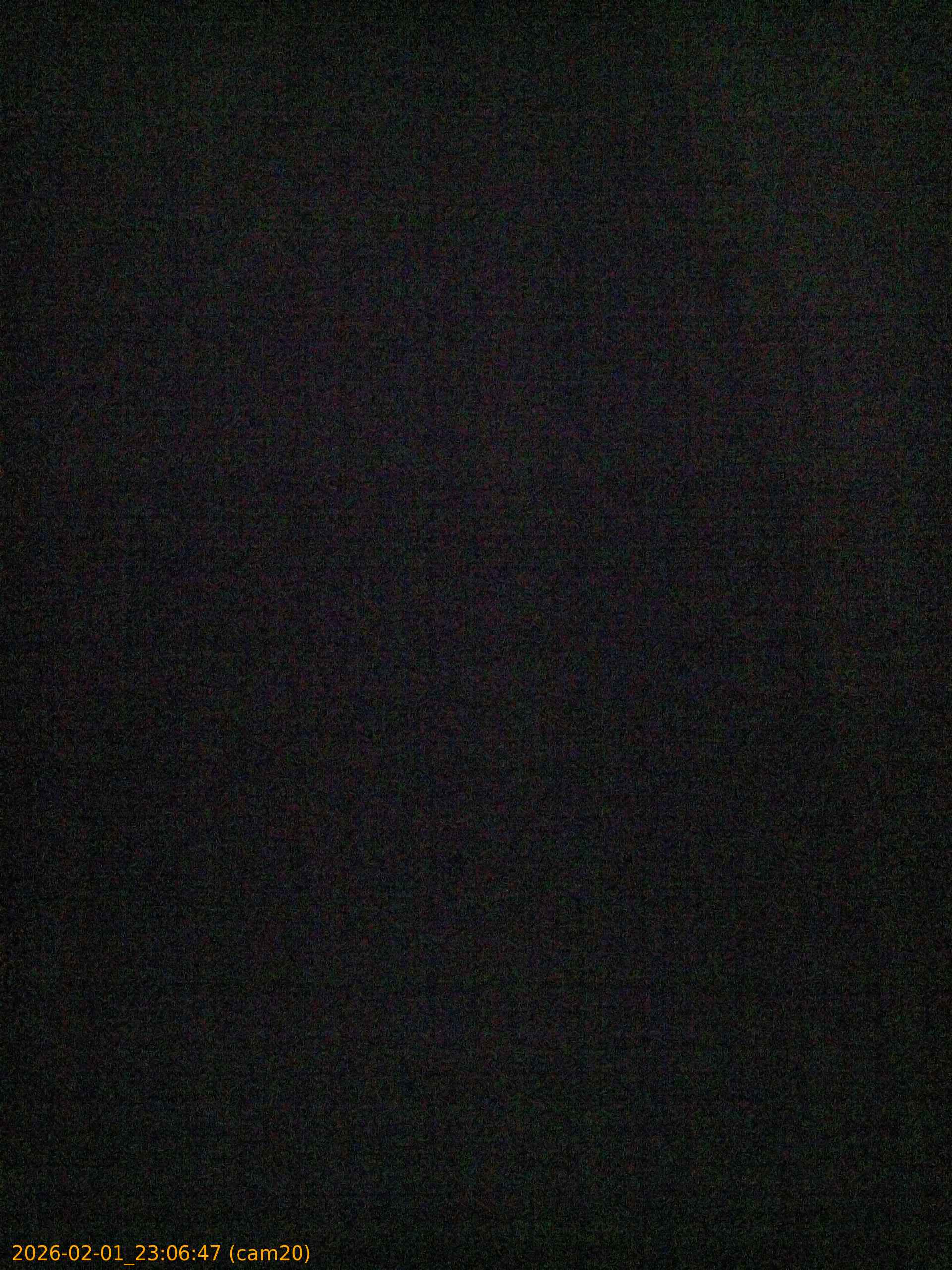 thumbnail_20260201230647