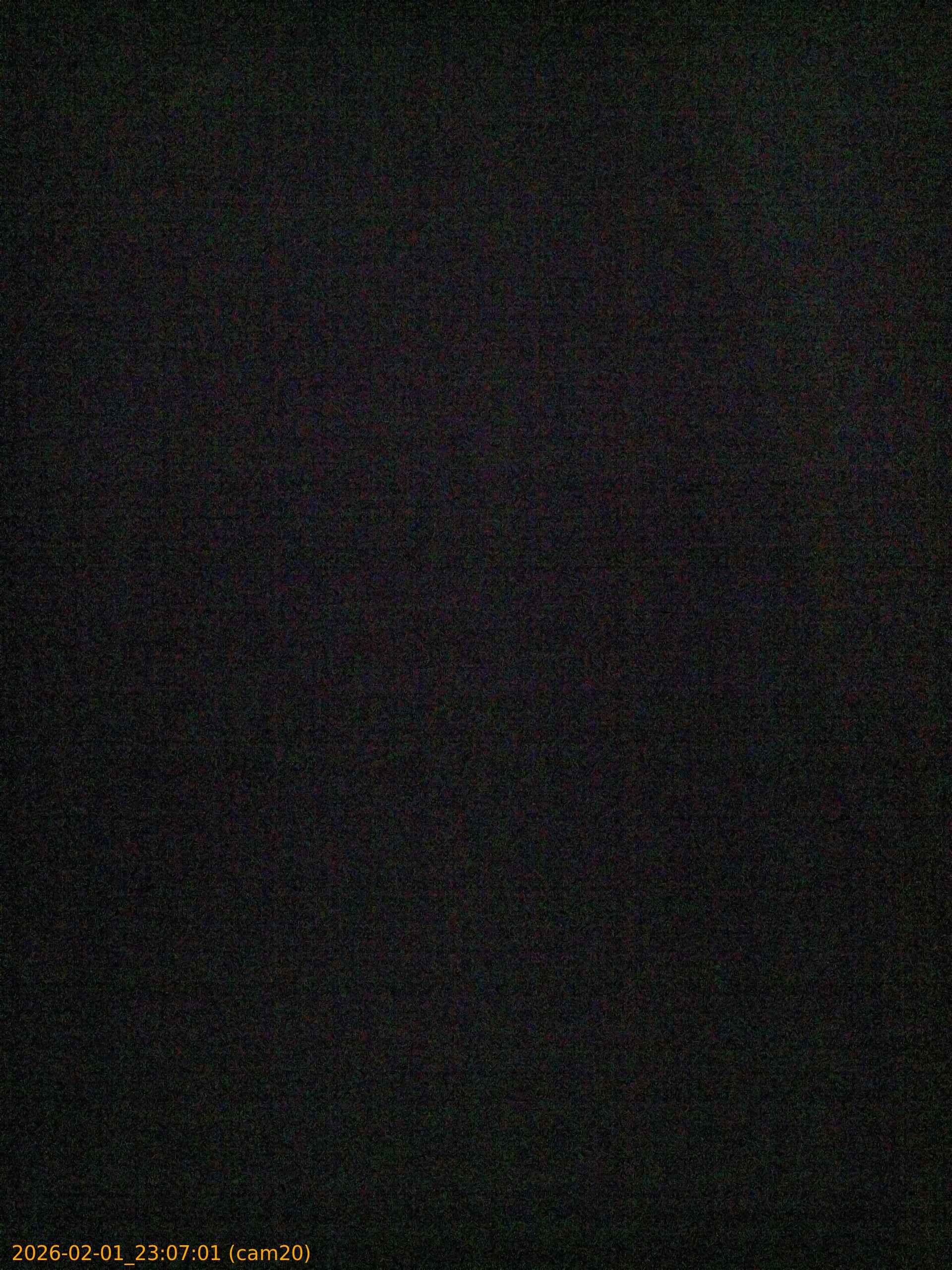 thumbnail_20260201230701