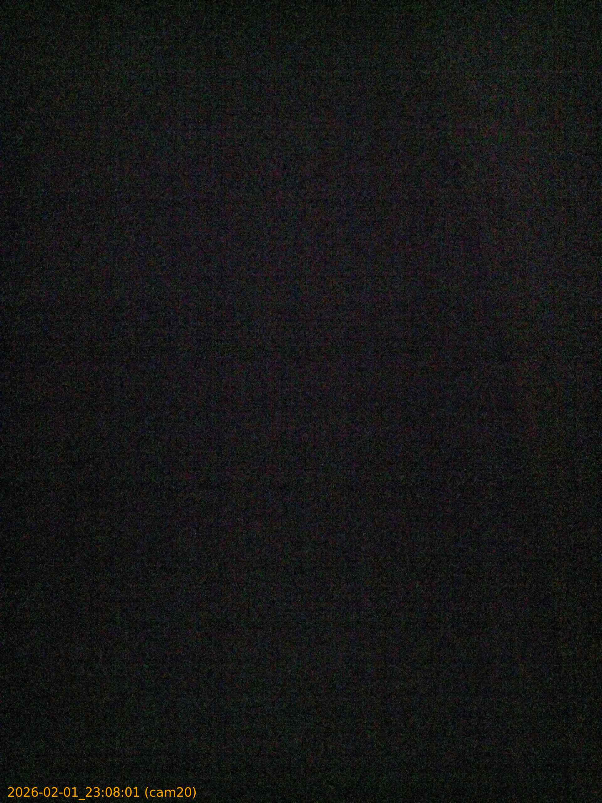 thumbnail_20260201230801