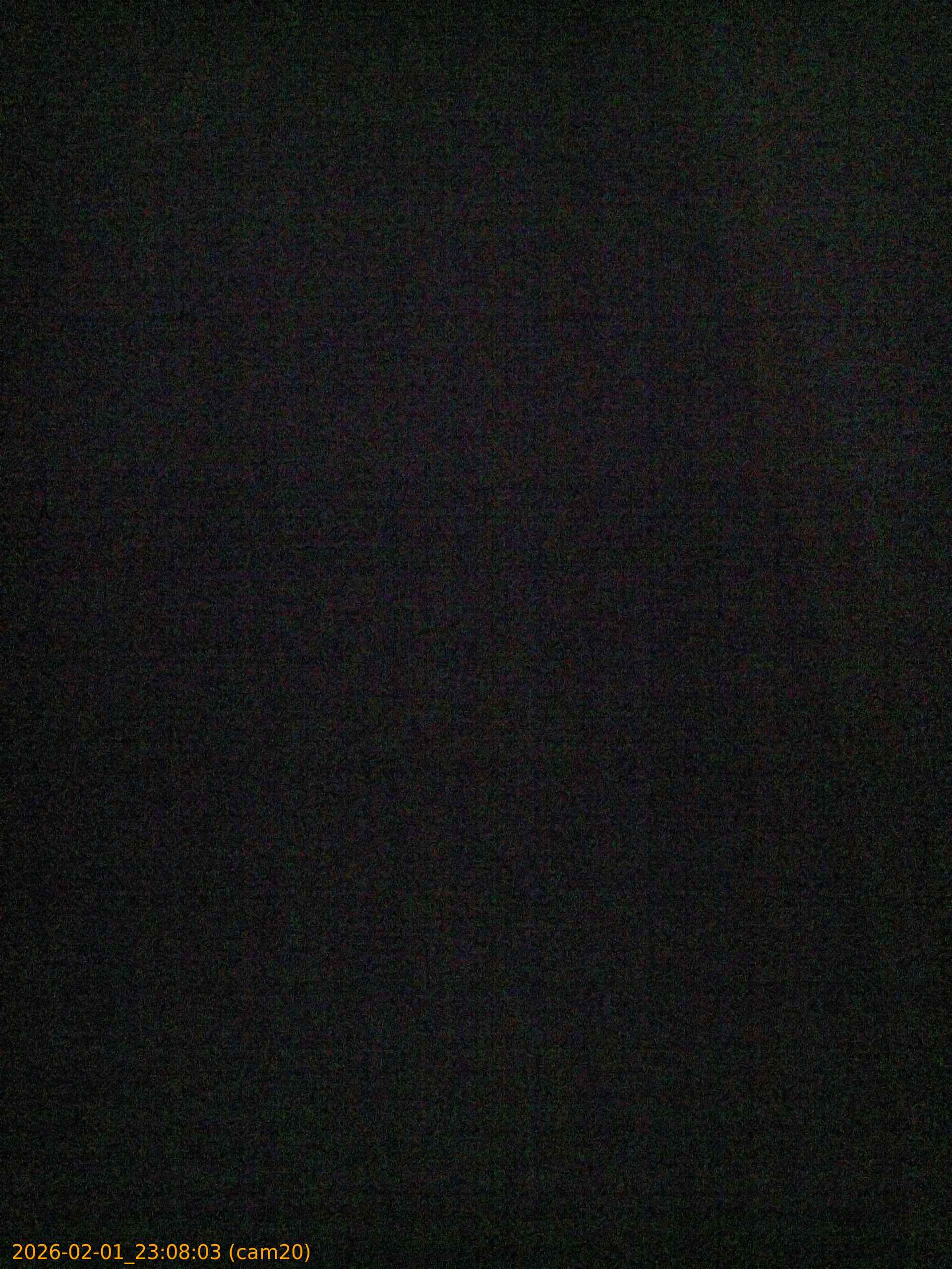 thumbnail_20260201230803