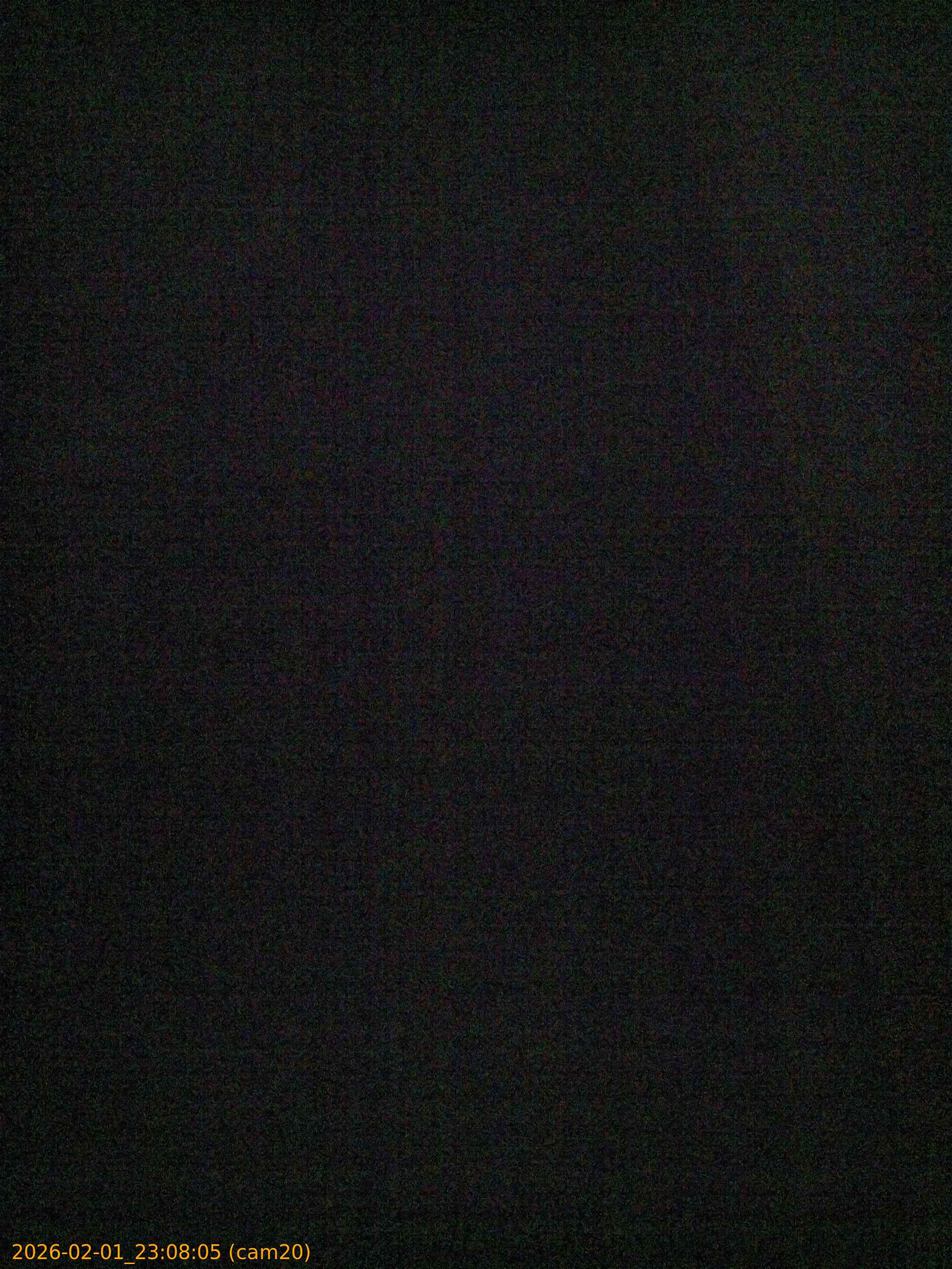 thumbnail_20260201230805