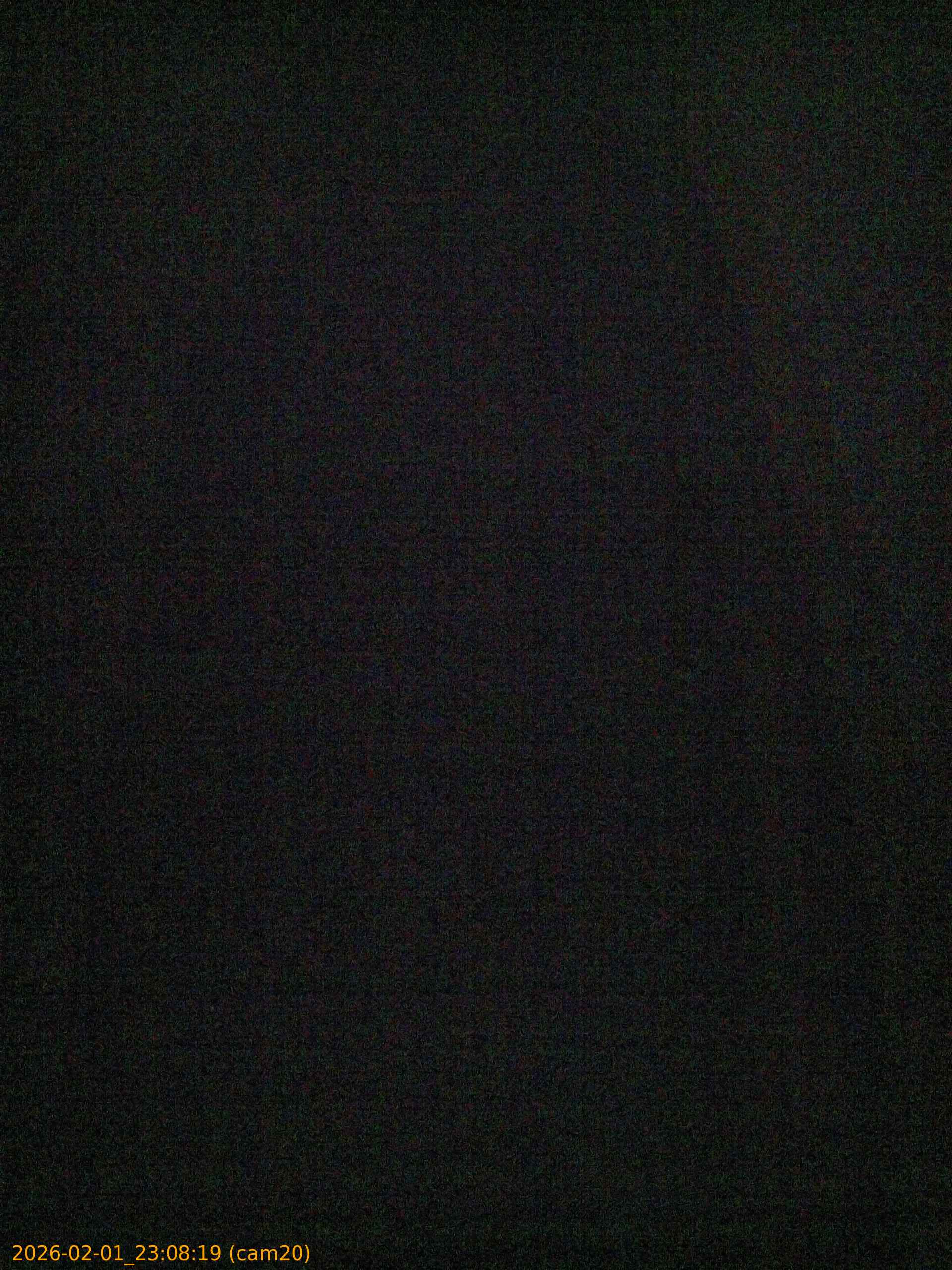 thumbnail_20260201230819