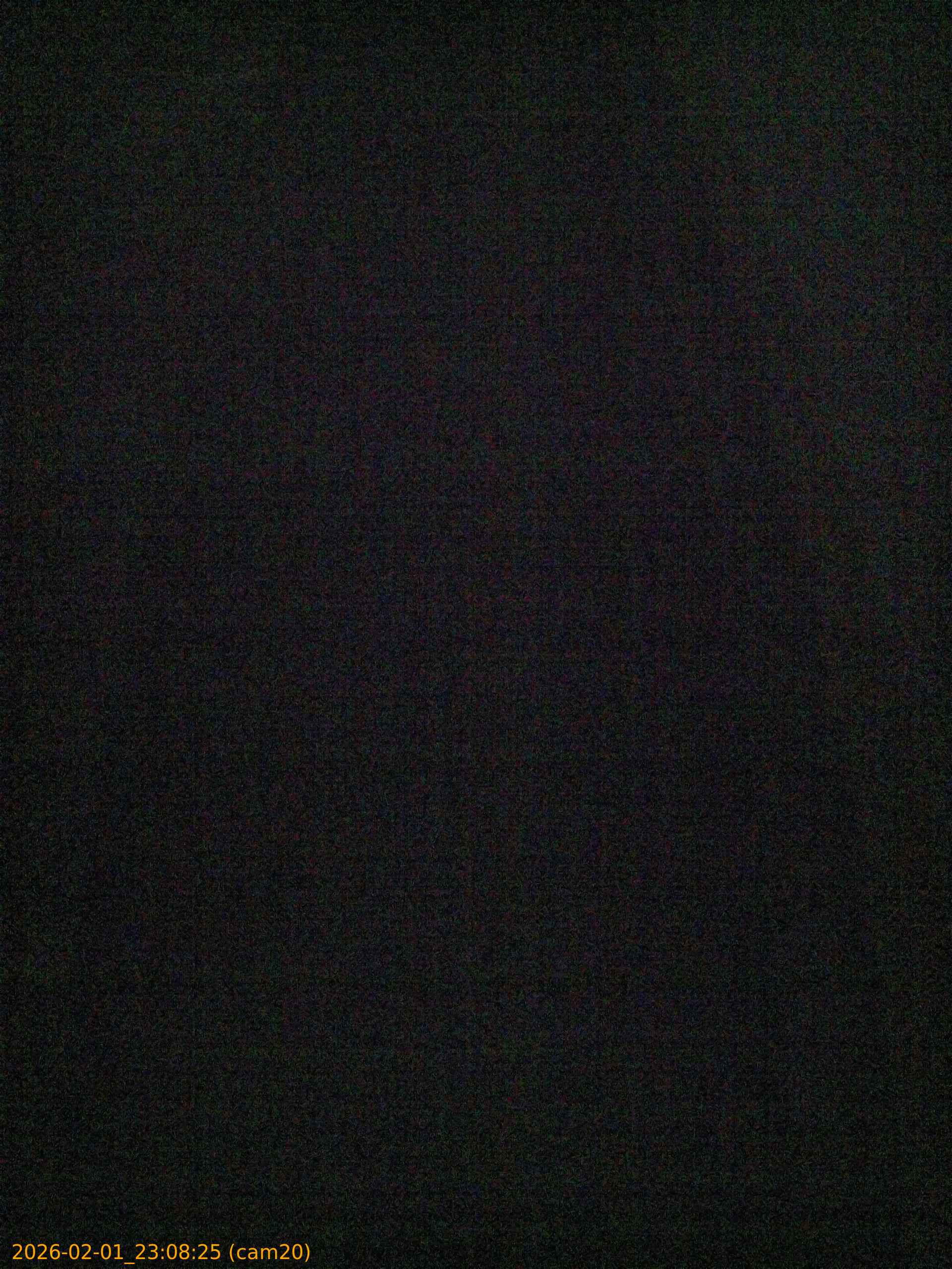 thumbnail_20260201230825