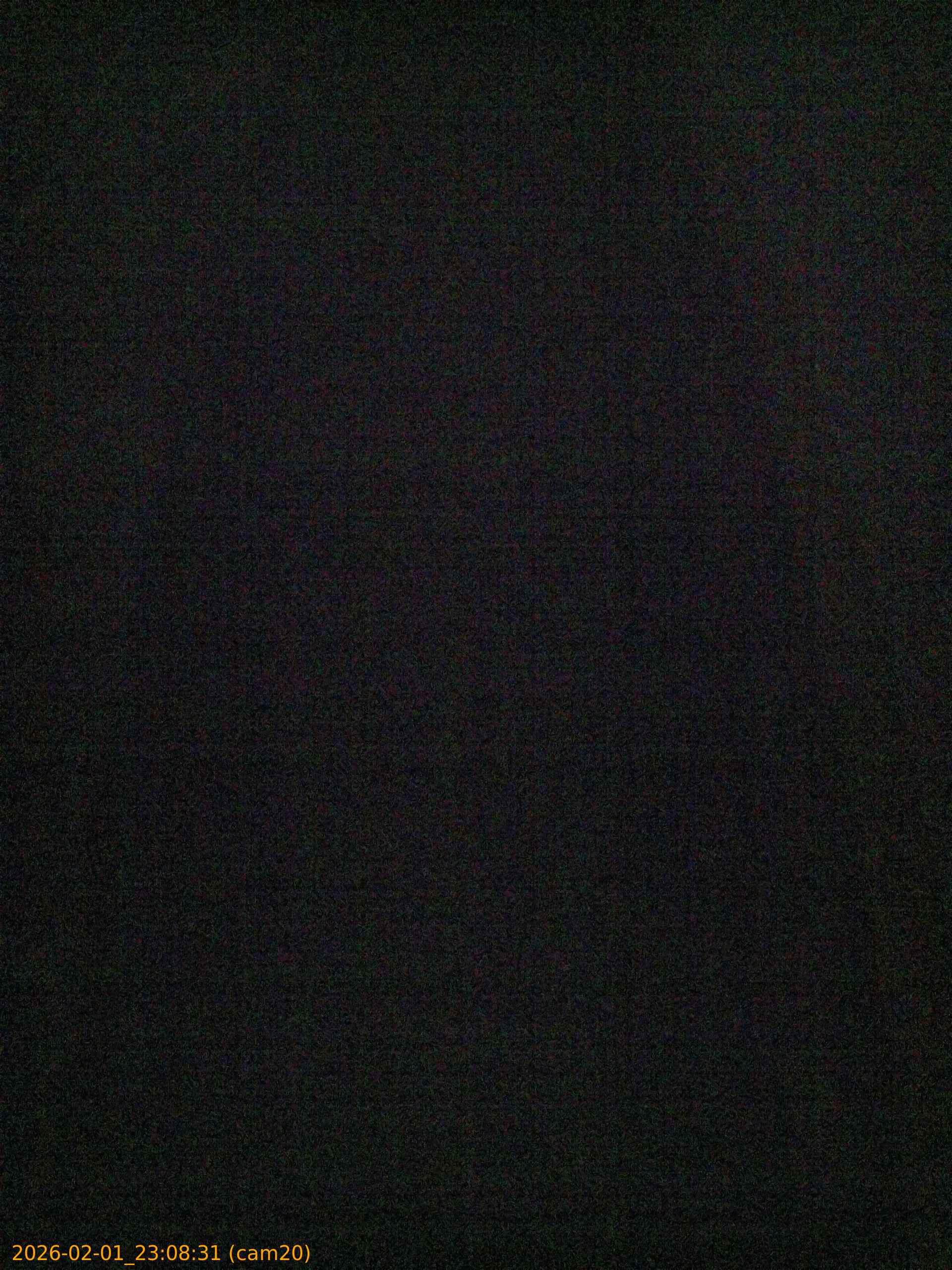 thumbnail_20260201230831