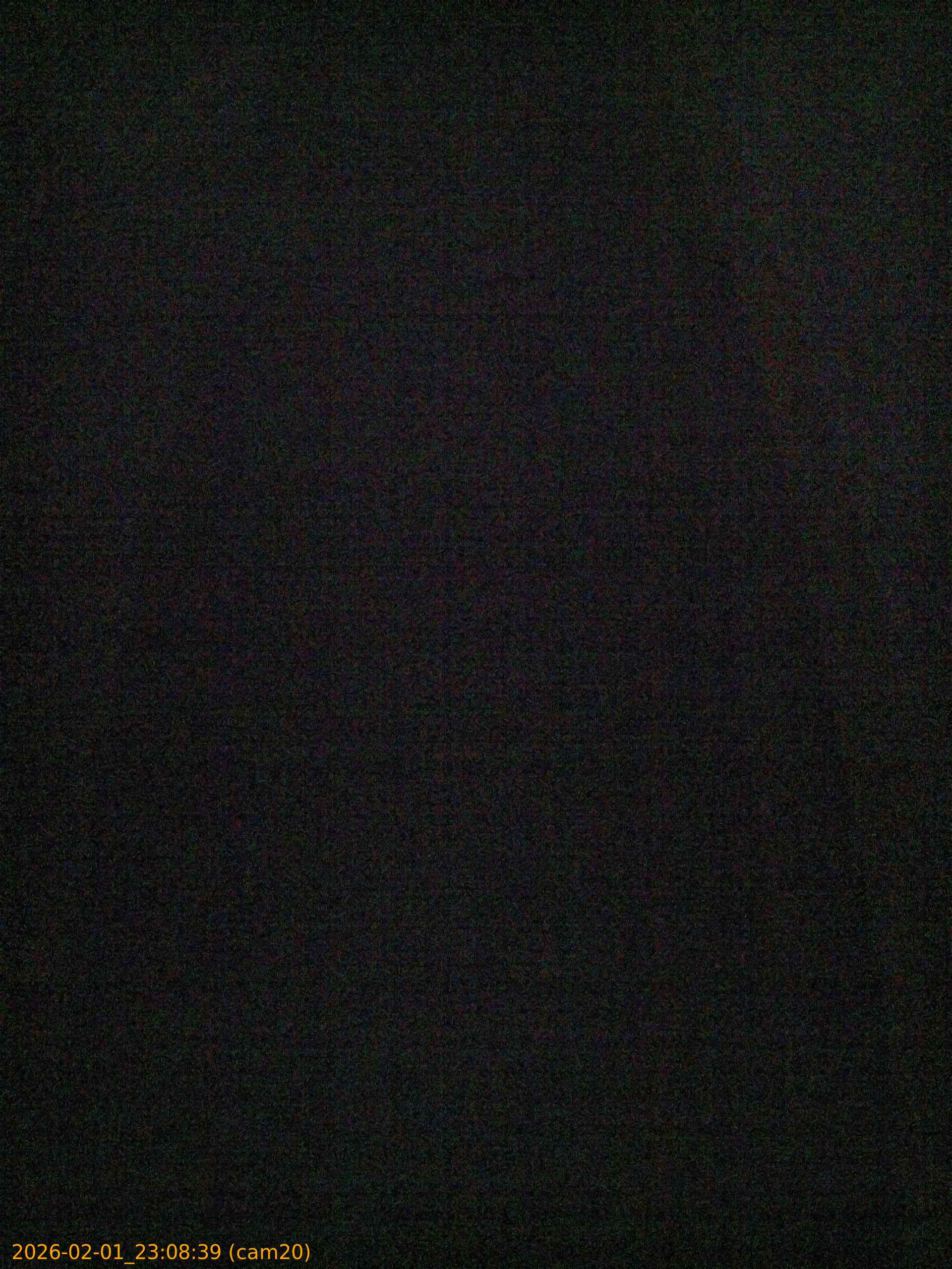 thumbnail_20260201230839