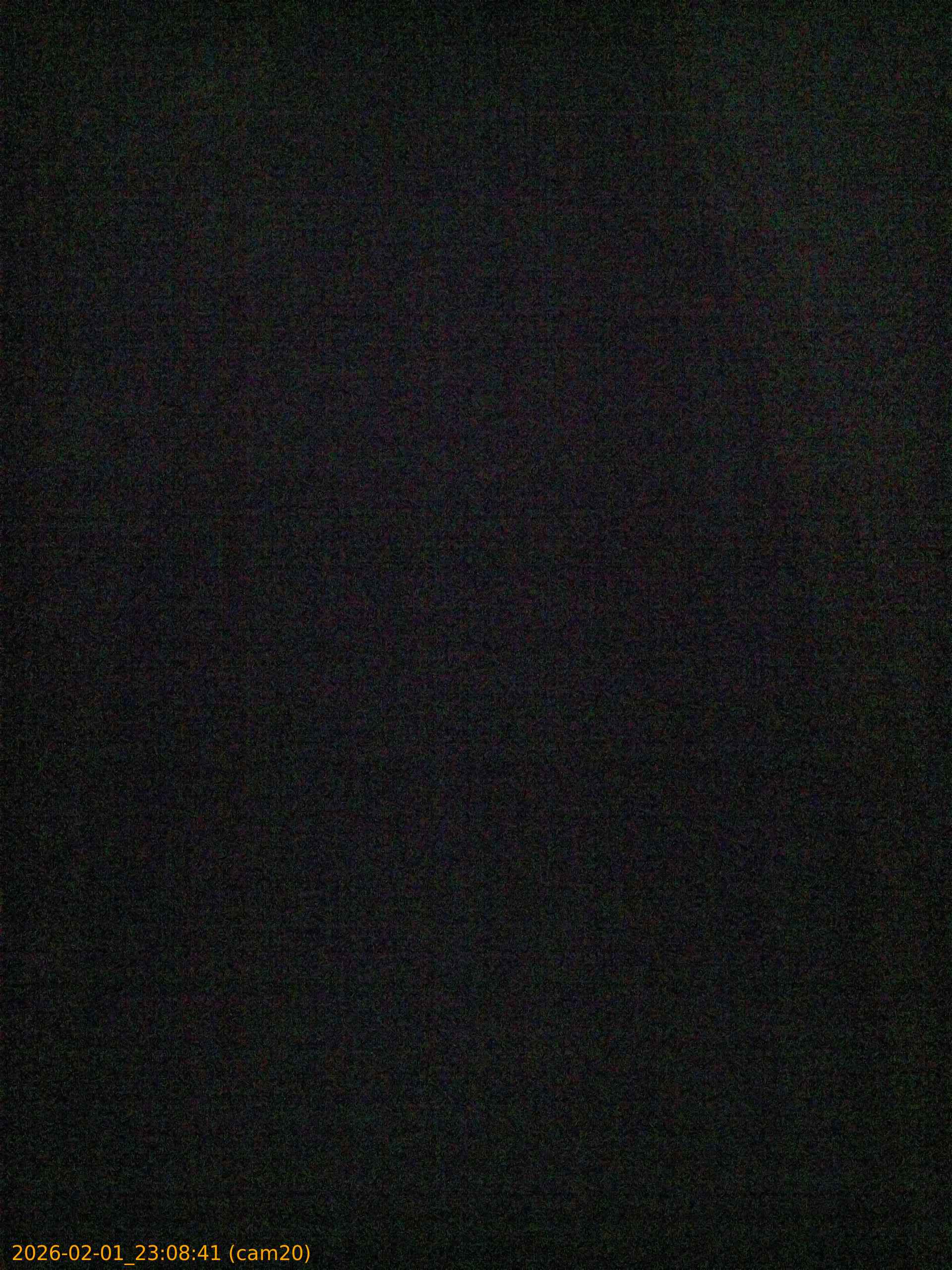 thumbnail_20260201230841