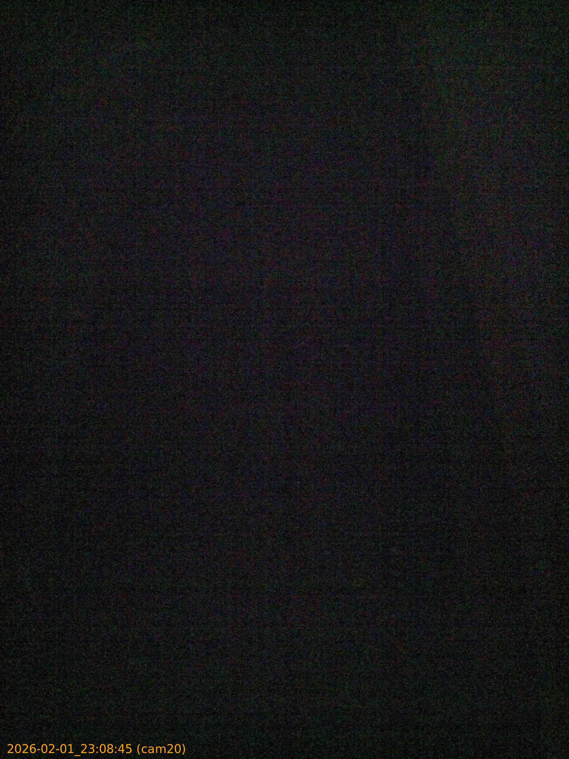 thumbnail_20260201230845