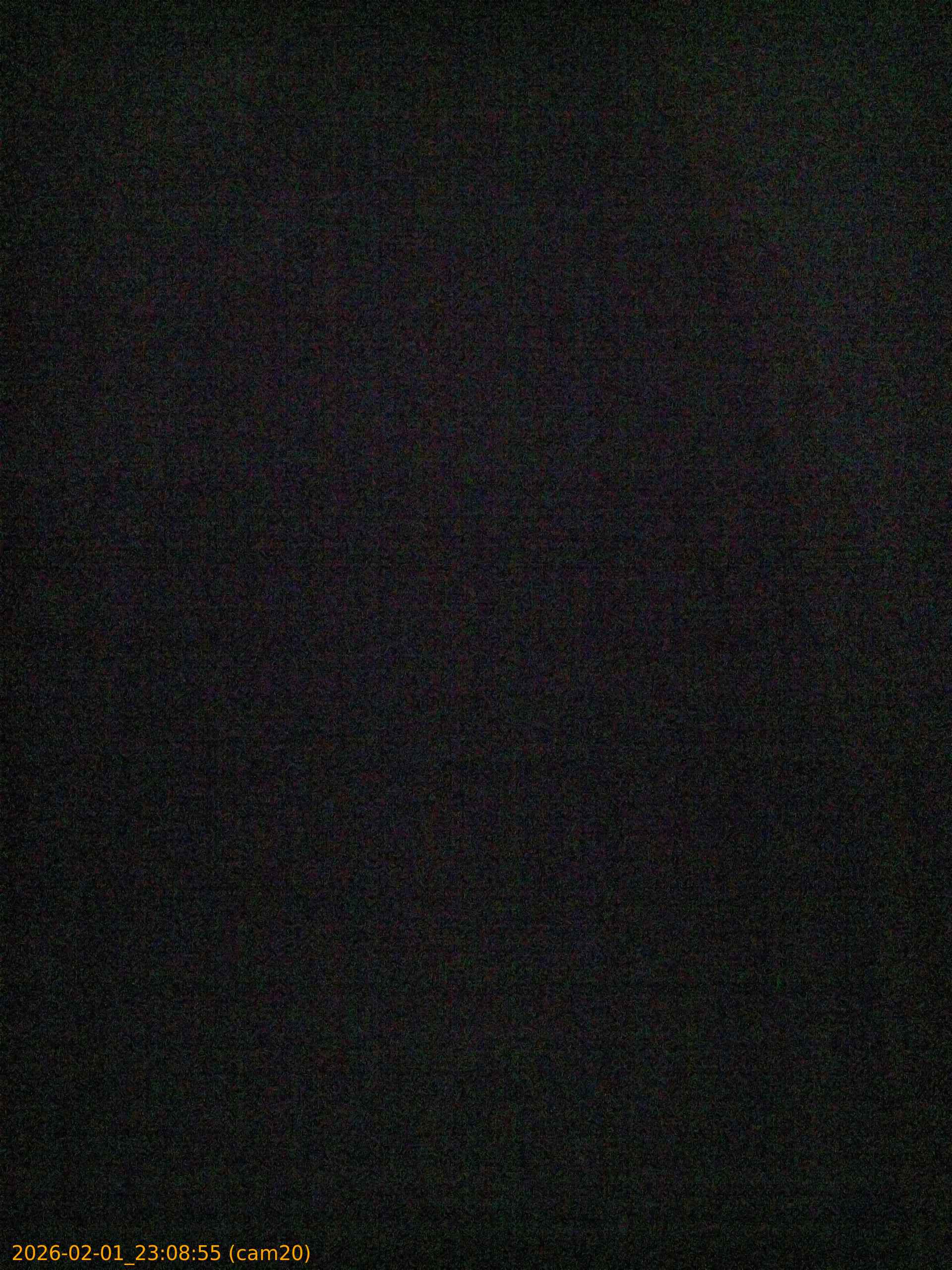 thumbnail_20260201230855