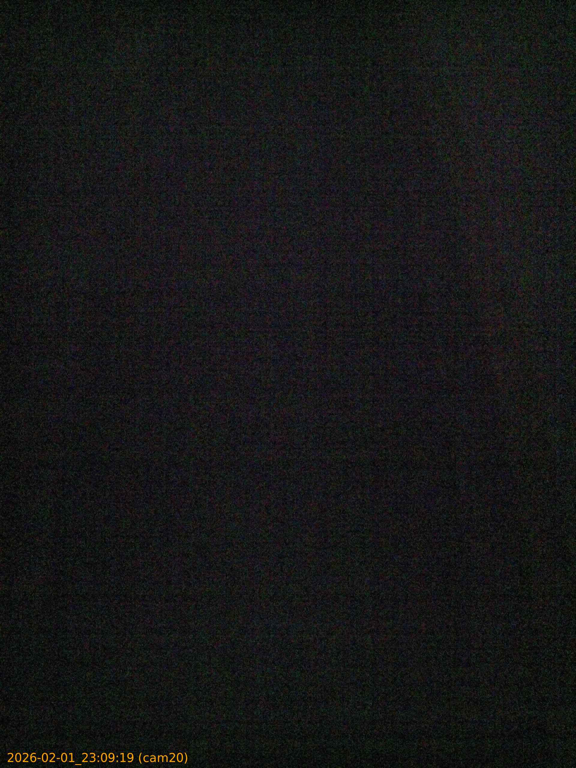 thumbnail_20260201230919