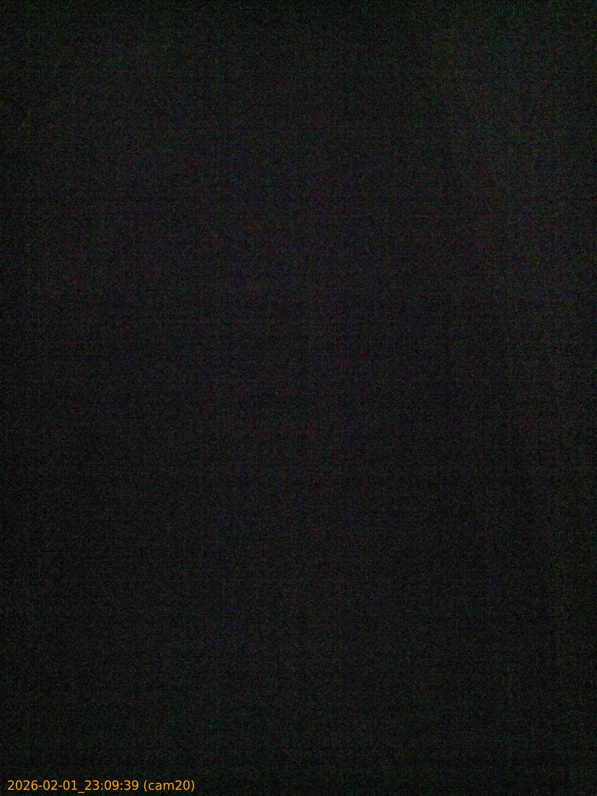 thumbnail_20260201230939