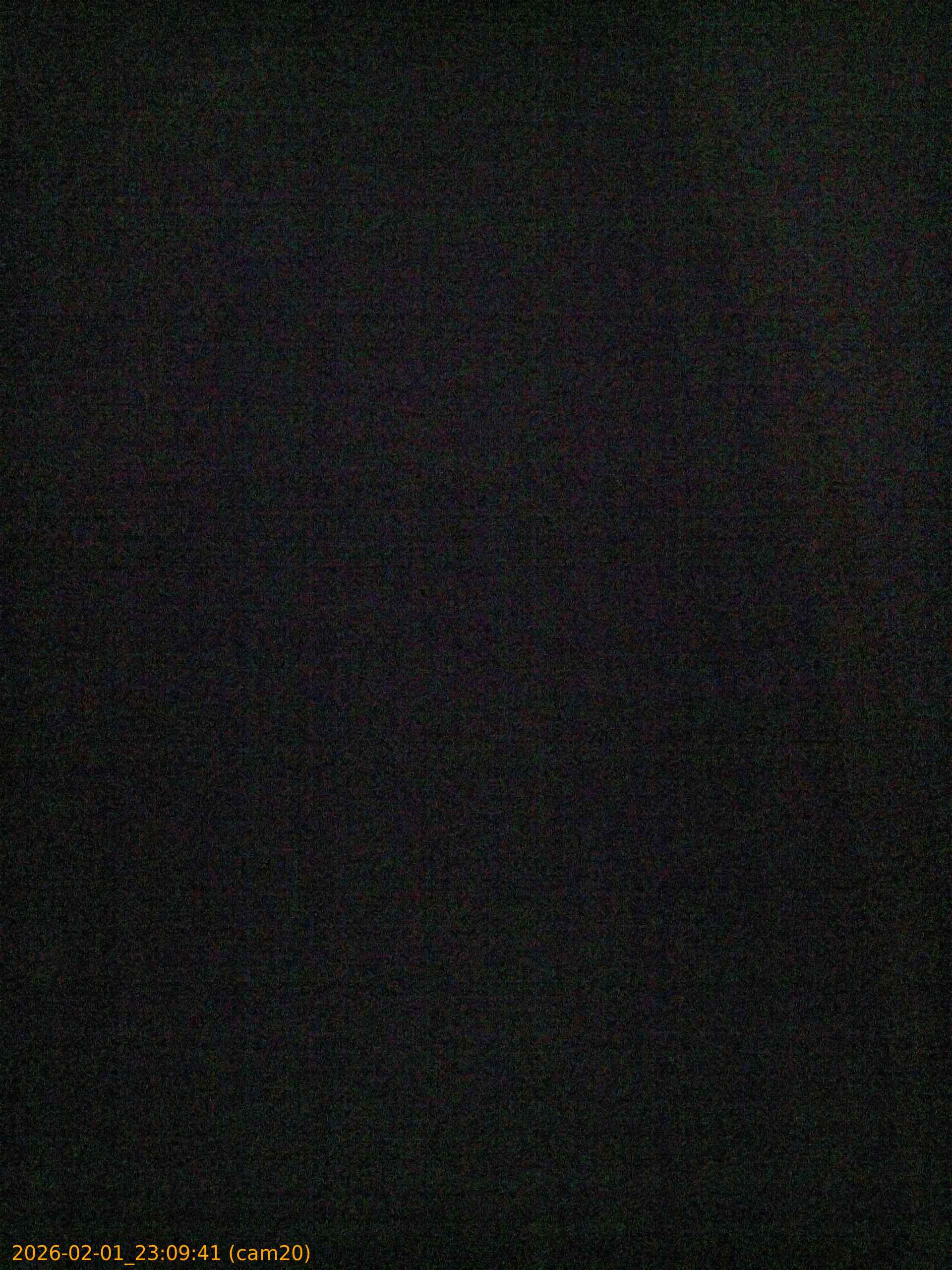 thumbnail_20260201230941