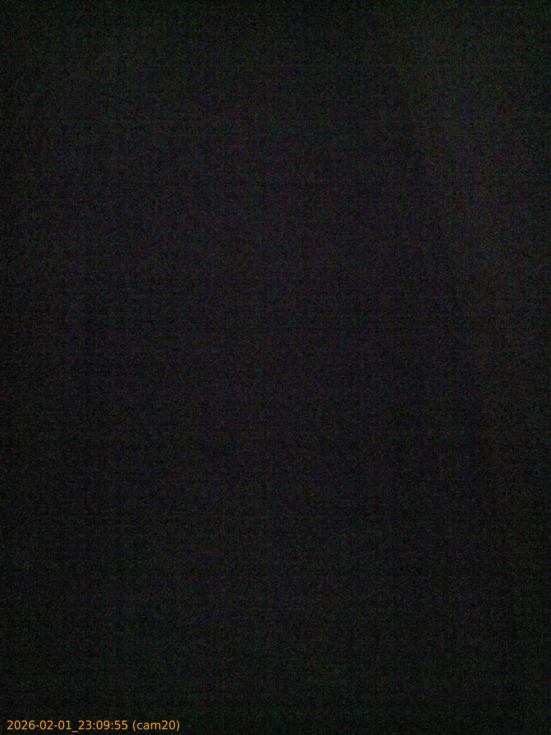 thumbnail_20260201230955