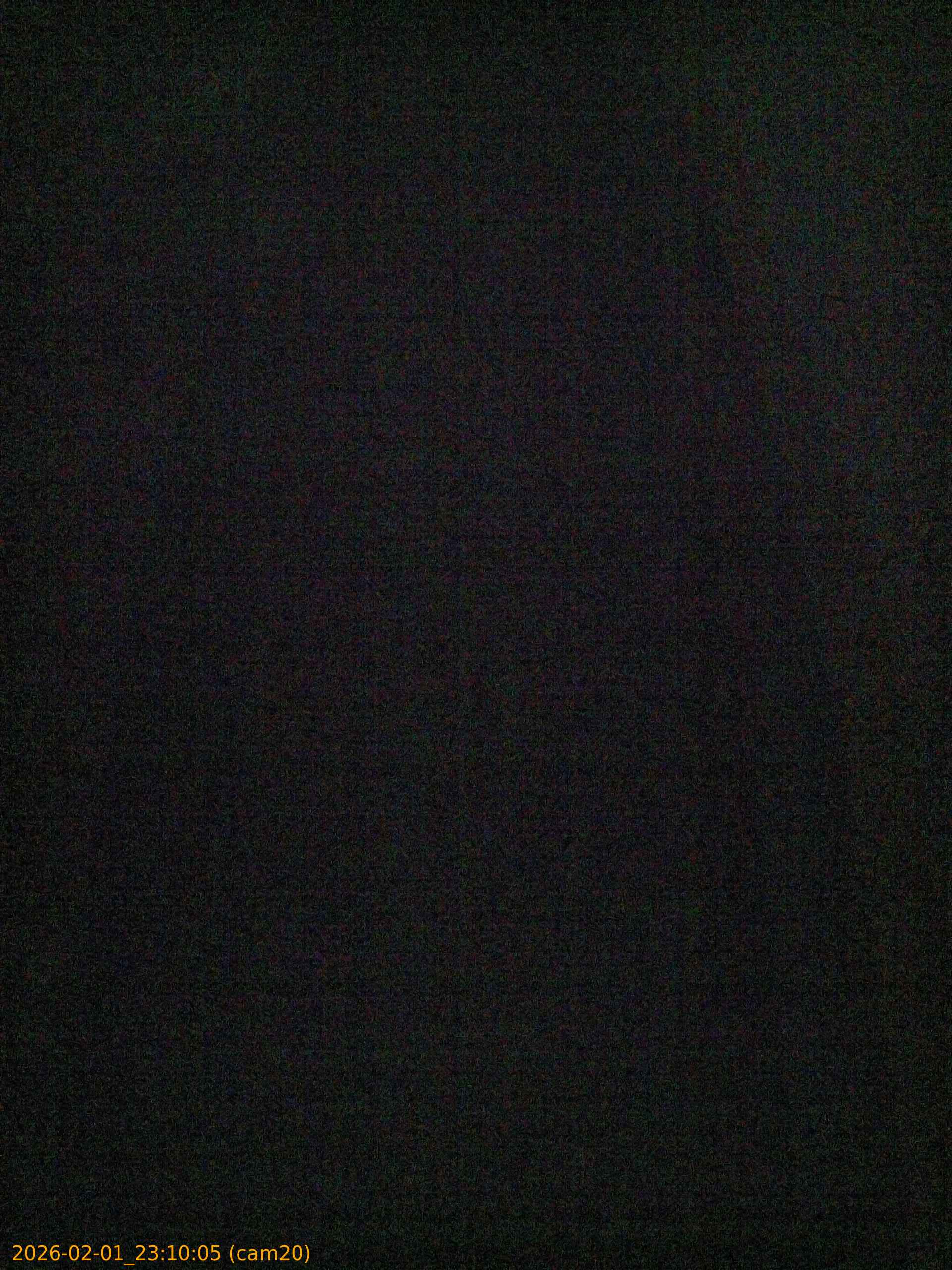 thumbnail_20260201231005