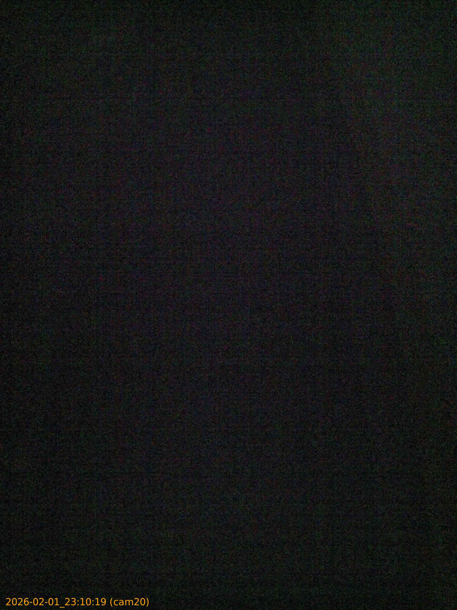 thumbnail_20260201231019