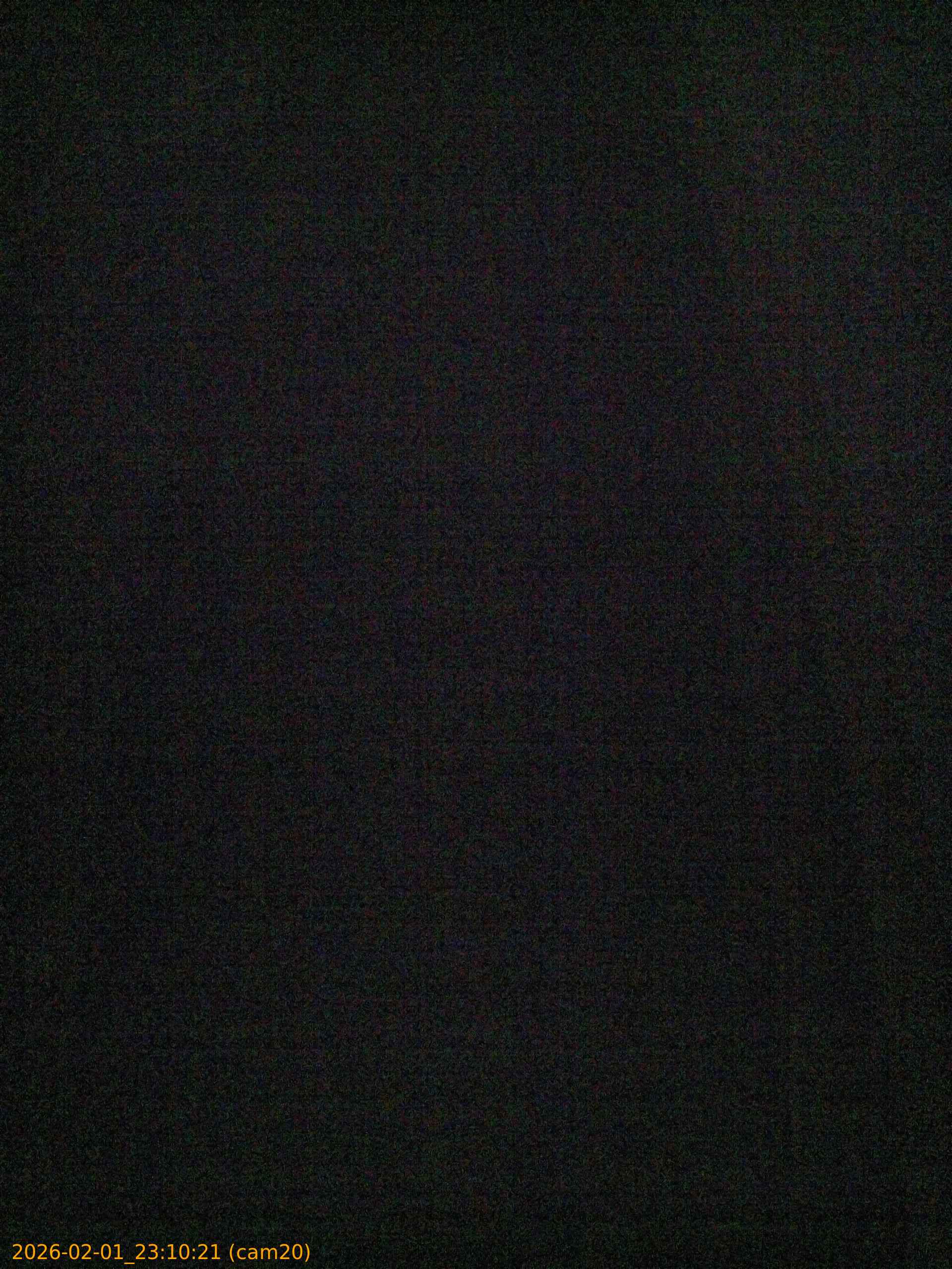 thumbnail_20260201231021