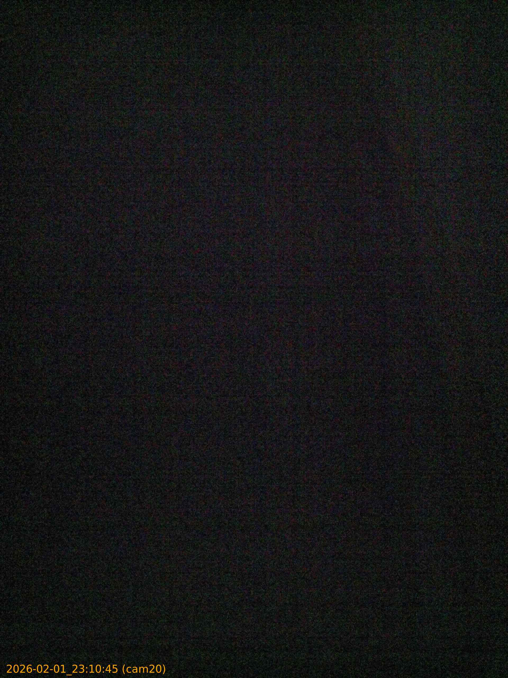 thumbnail_20260201231045