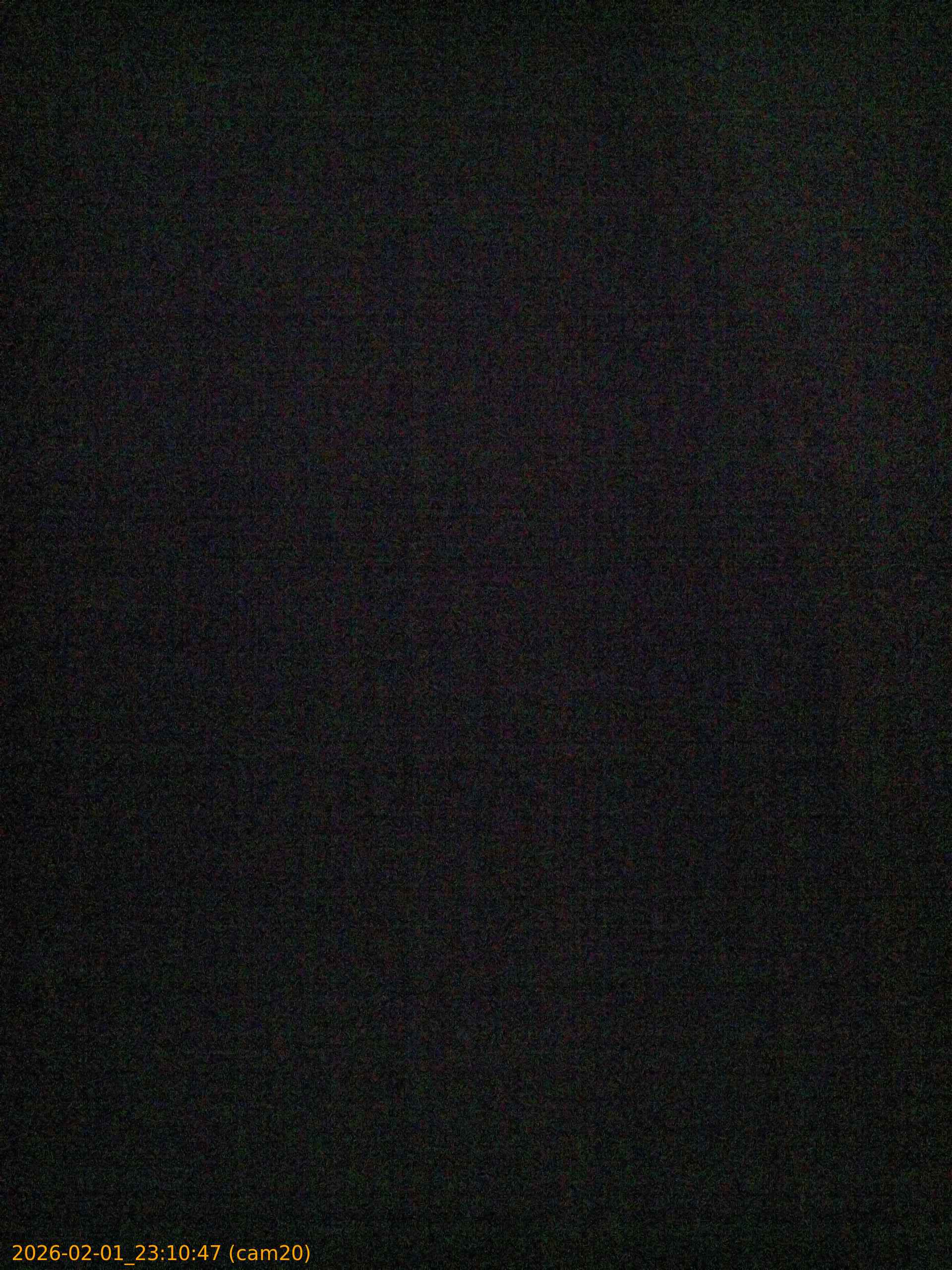 thumbnail_20260201231046