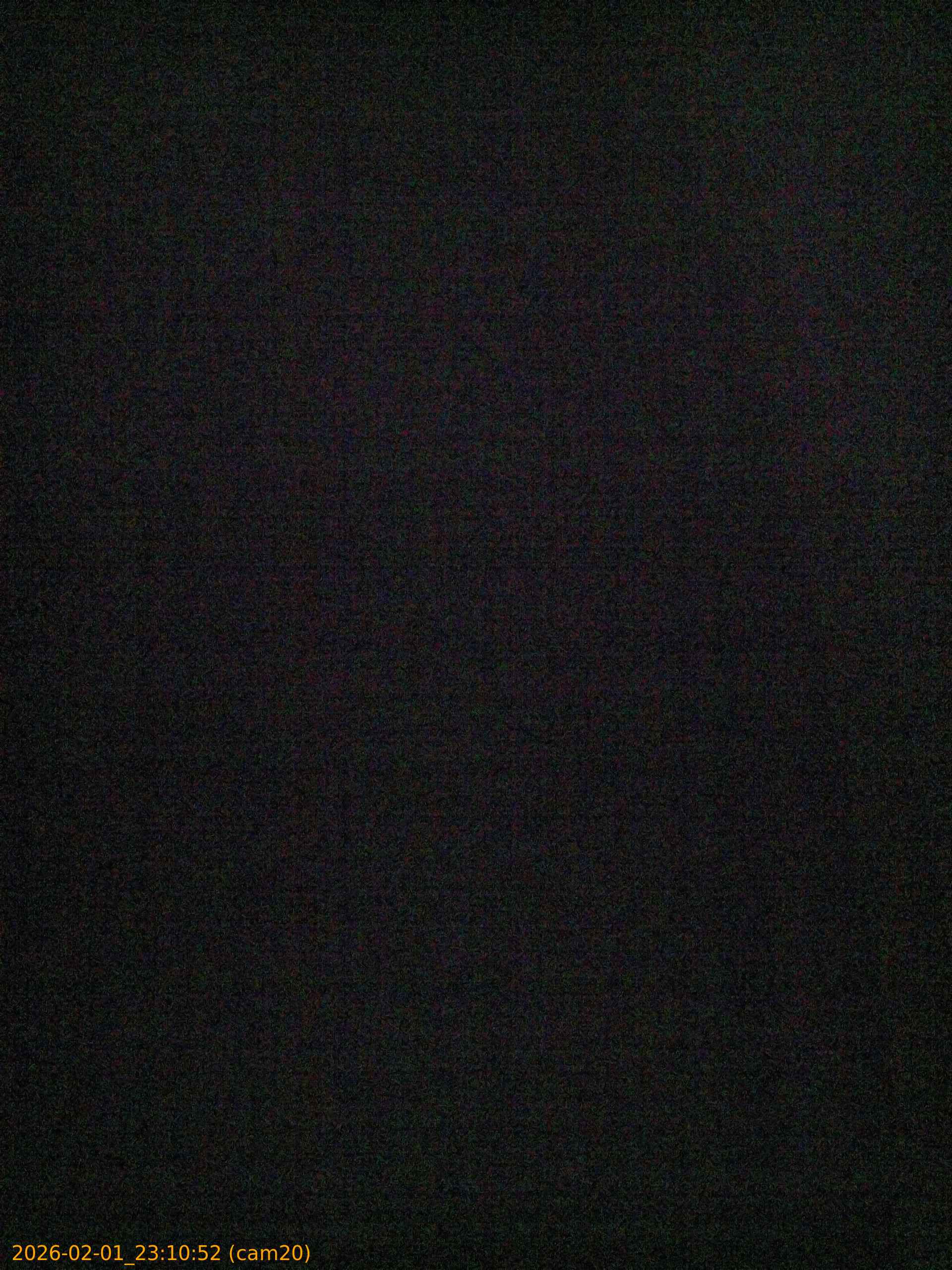 thumbnail_20260201231052