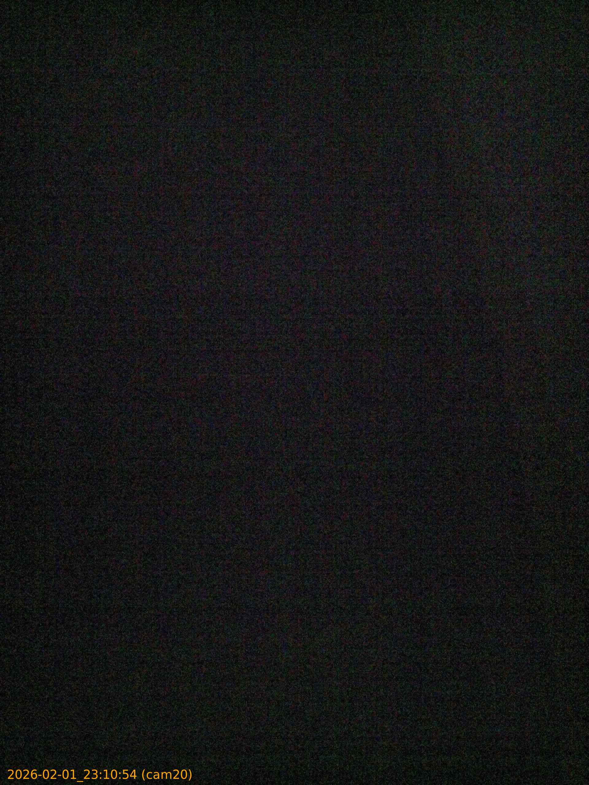 thumbnail_20260201231054