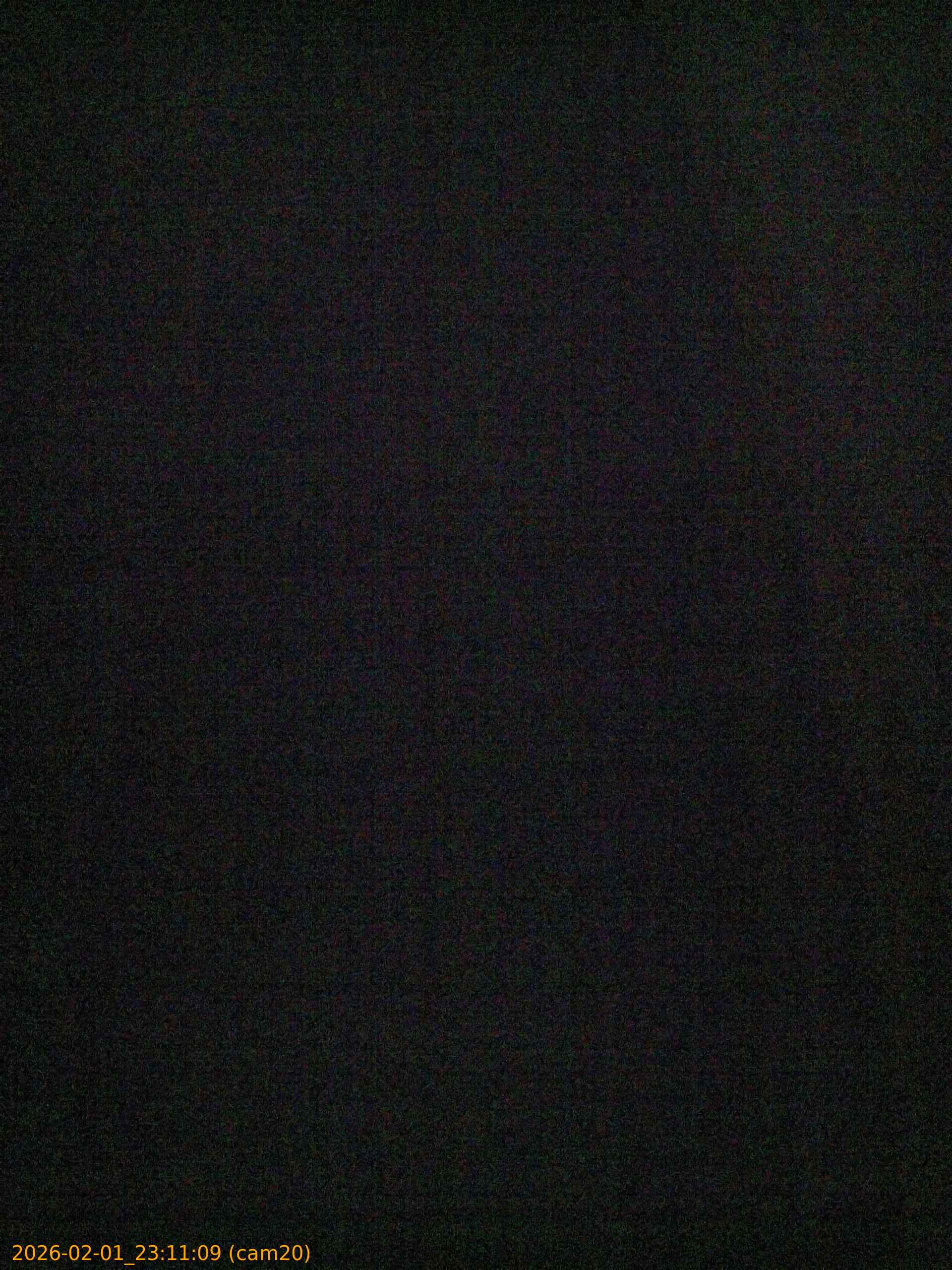 thumbnail_20260201231109