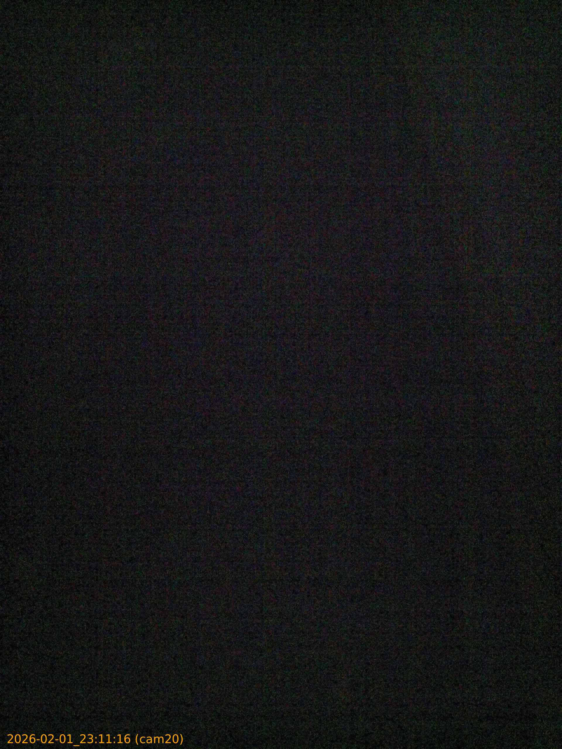 thumbnail_20260201231116