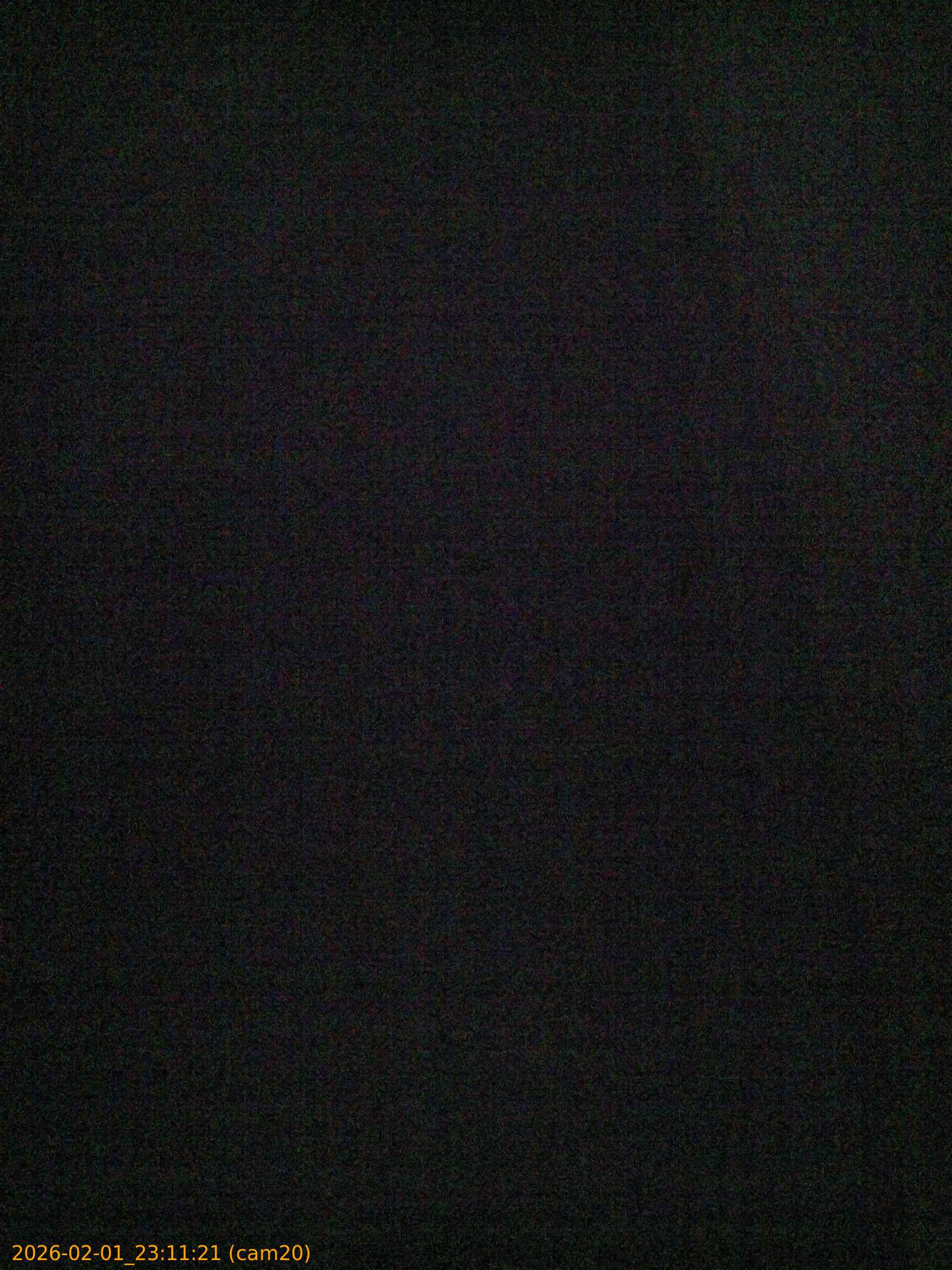 thumbnail_20260201231121