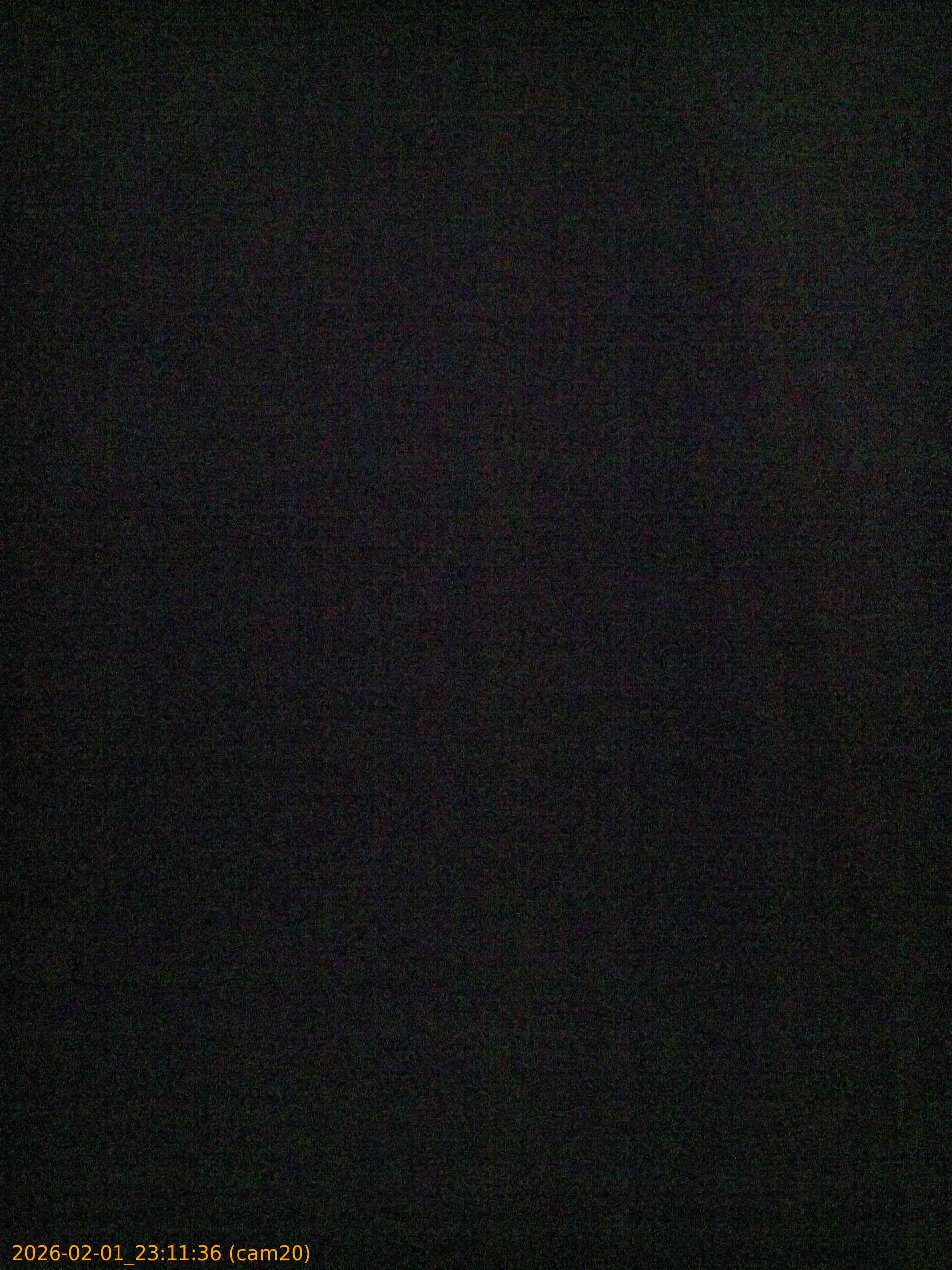 thumbnail_20260201231136