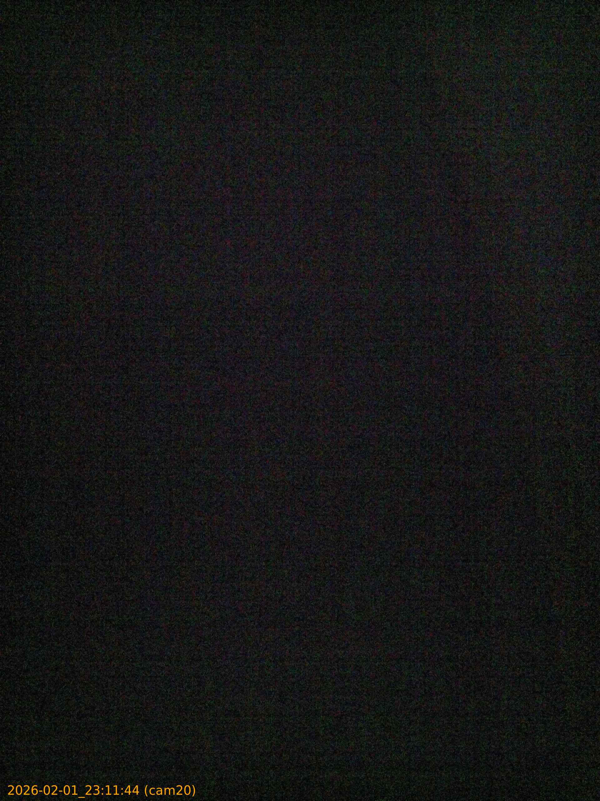 thumbnail_20260201231144