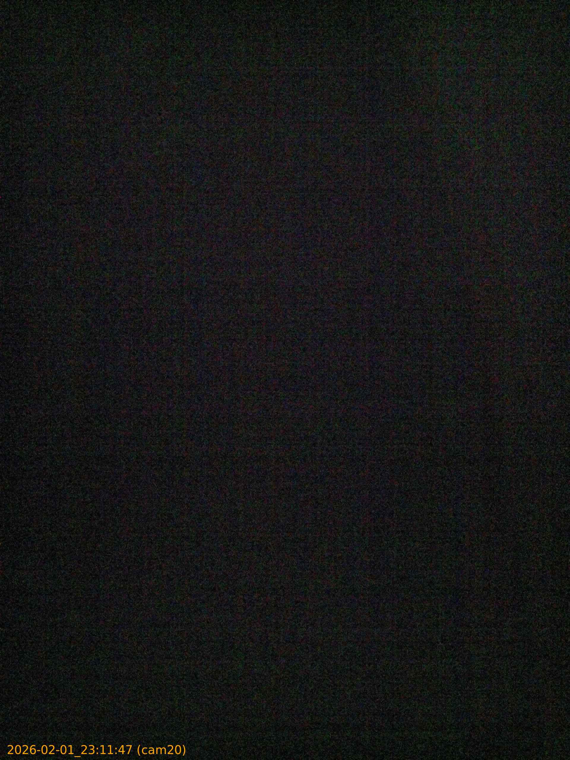 thumbnail_20260201231147